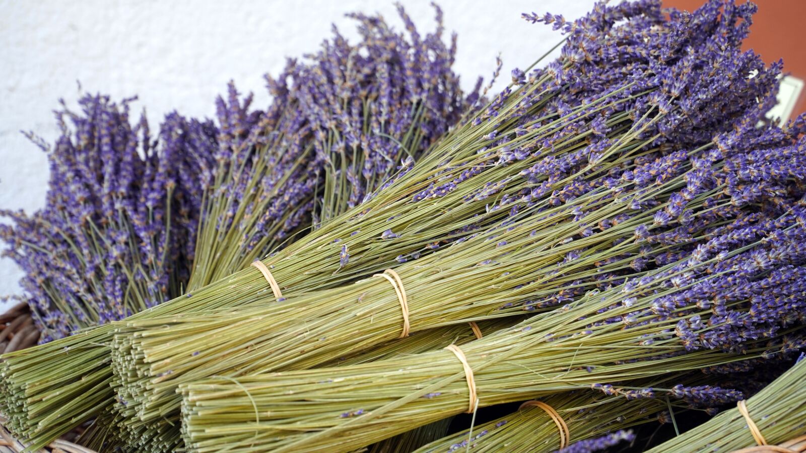 Sony E PZ 18-105mm F4 G OSS sample photo. Lavender, blue, herbs photography