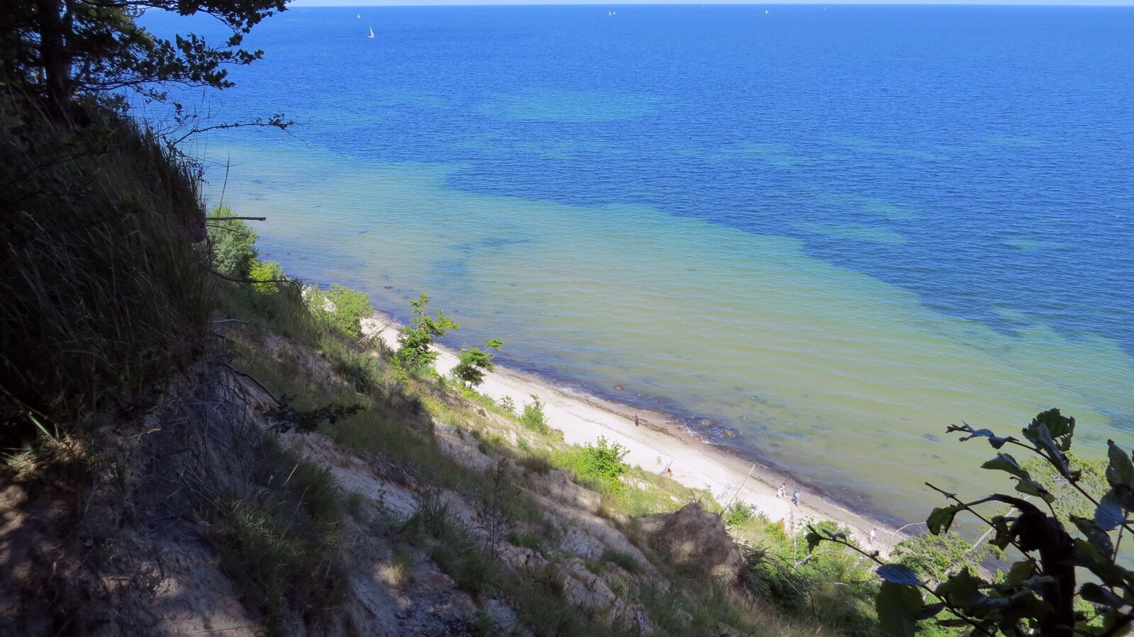 Canon PowerShot SX240 HS sample photo. Trees, baltic sea, beach photography