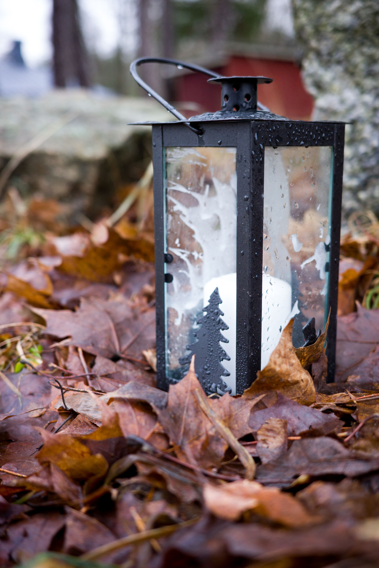 Ricoh GR IIIx sample photo. Moisture lantern photography
