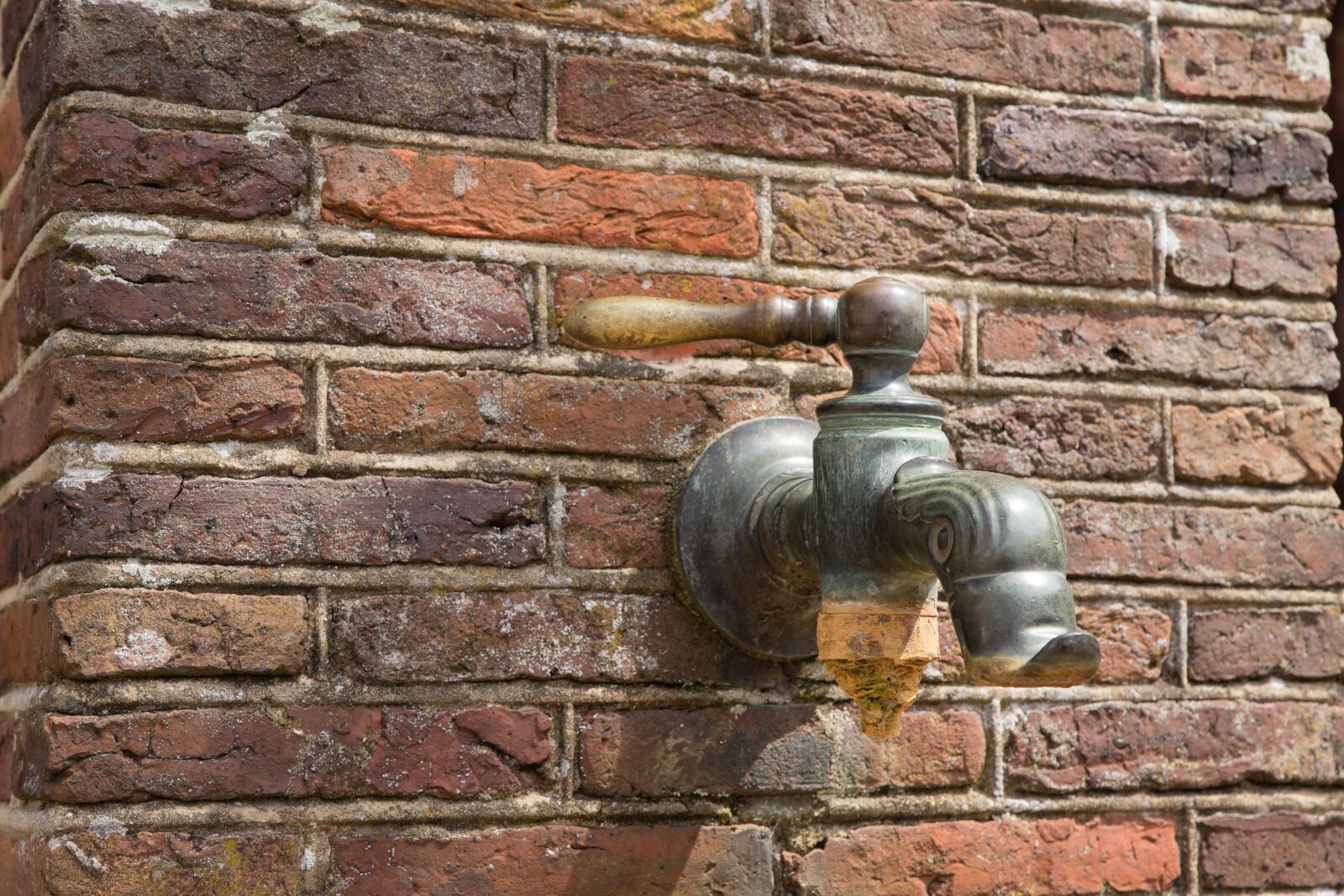 Canon EOS 6D Mark II sample photo. Faucet, water tap, outdoor photography