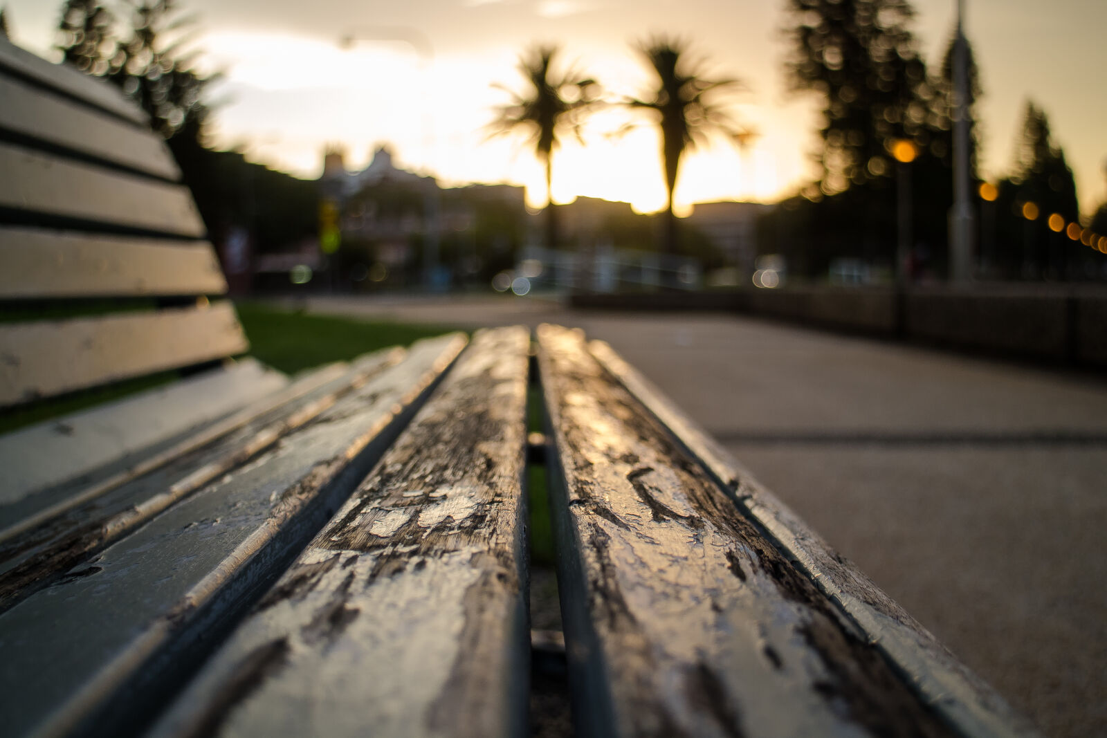 Canon EOS M2 sample photo. Close, up, of, bench photography