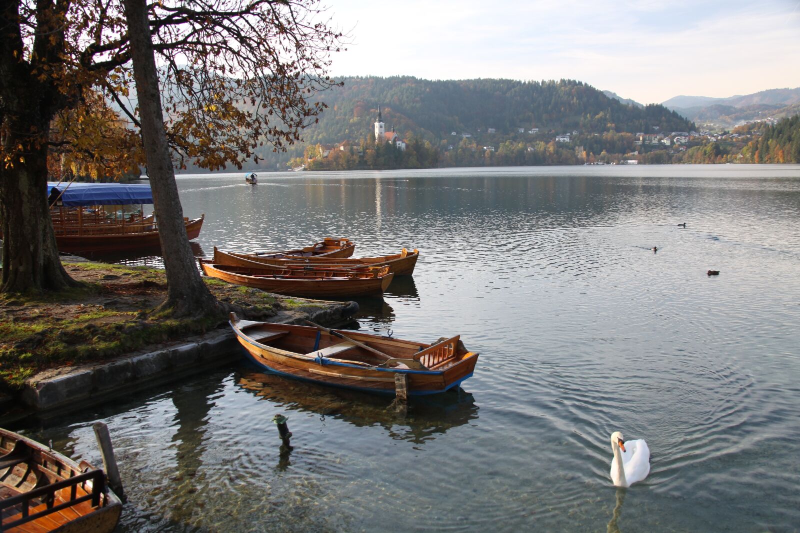 Canon EOS 50D sample photo. Body of water, lake photography