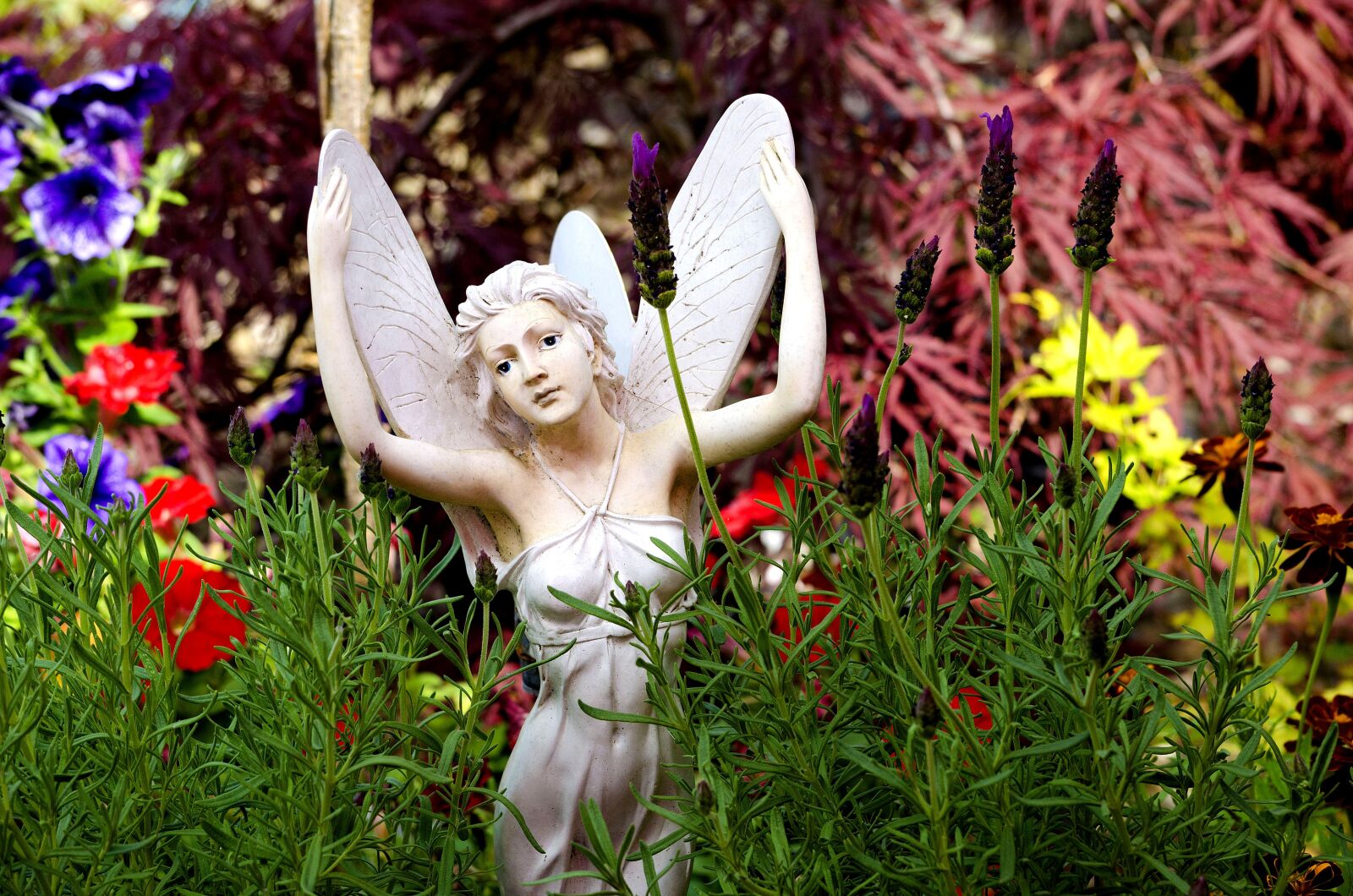 Nikon D5100 sample photo. Angel, fairy, flowers photography