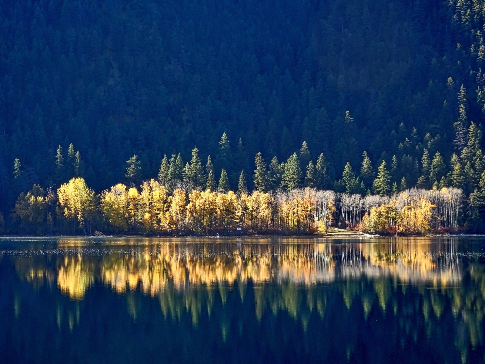 Sony Cyber-shot DSC-HX90V sample photo. Reflection, trees, forest photography