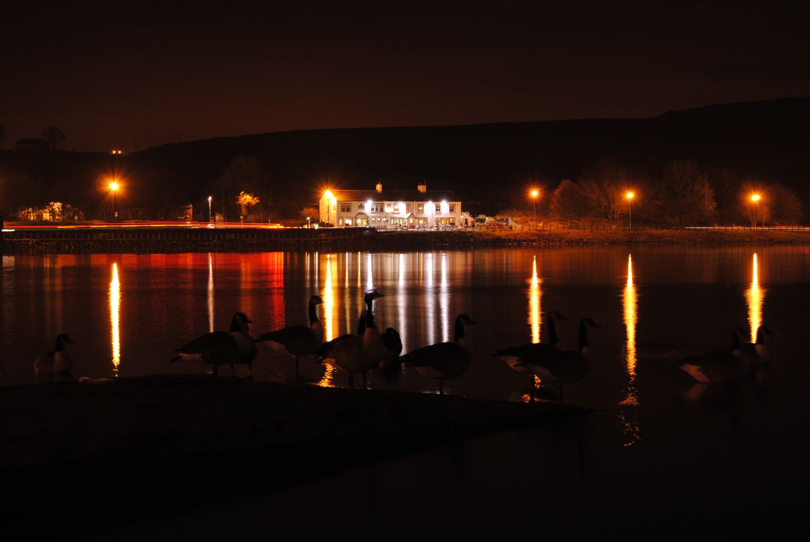 Nikon D3000 sample photo. Night, lights, reflection photography