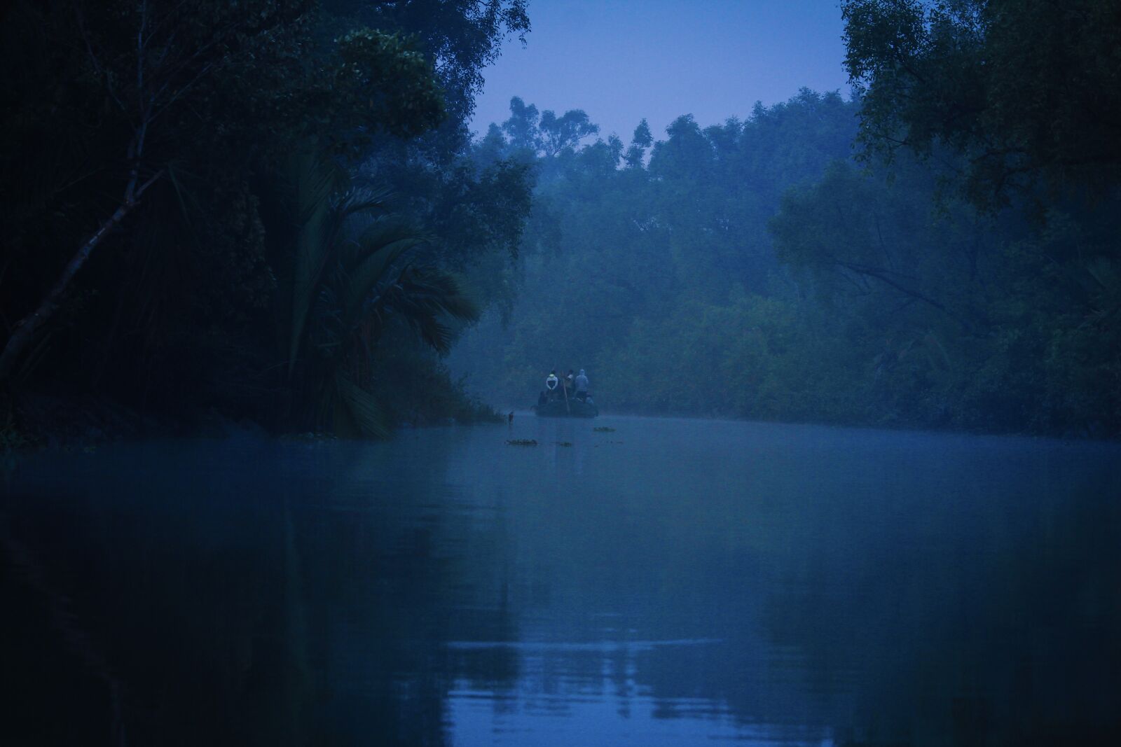 Canon EOS 60D + Canon EF-S 55-250mm F4-5.6 IS II sample photo. Sundarban, forest, sundarbans photography