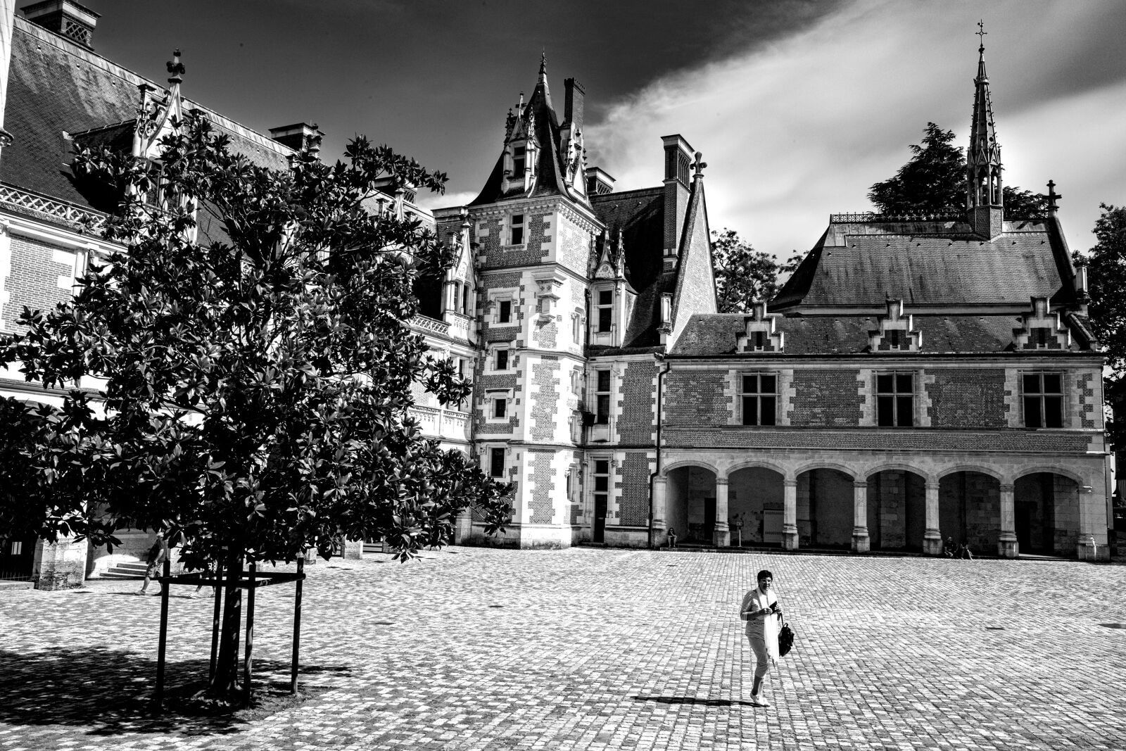 Canon 24-70mm F2.8 DG OS HSM | Art 017 sample photo. Castle, blois, architecture photography