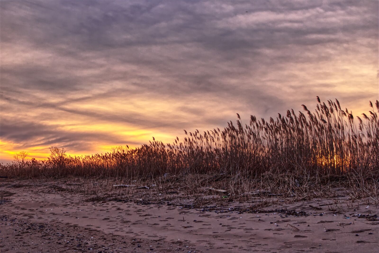 Canon EOS 750D (EOS Rebel T6i / EOS Kiss X8i) sample photo. Beach, landscape, sunset photography