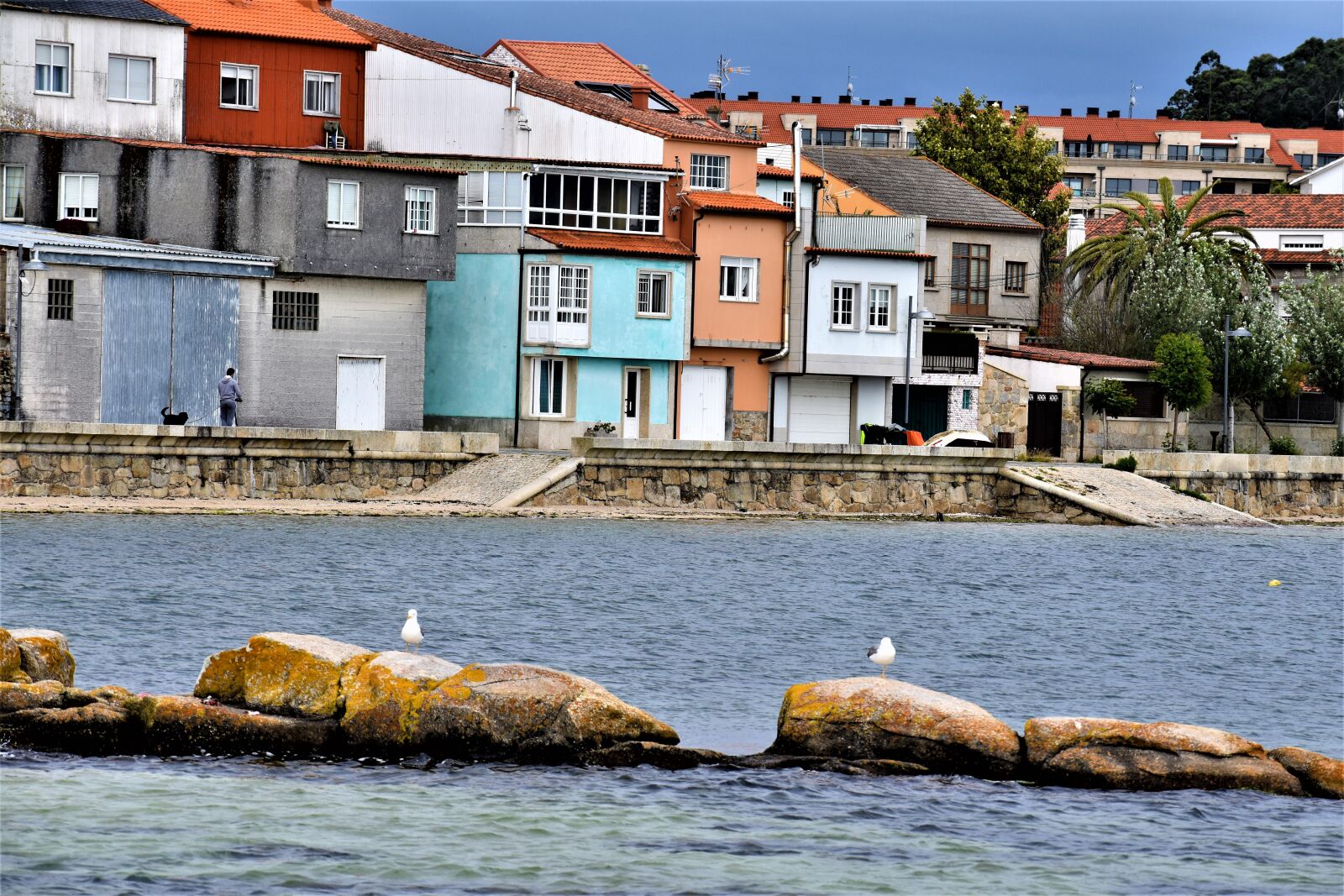 Nikon D5600 sample photo. Cambados, ria, sailor photography