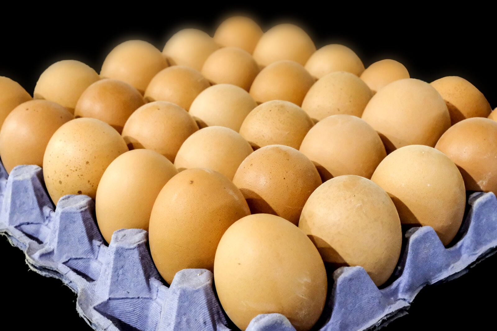 Fujifilm XF 16-55mm F2.8 R LM WR sample photo. Egg, eggs, food photography