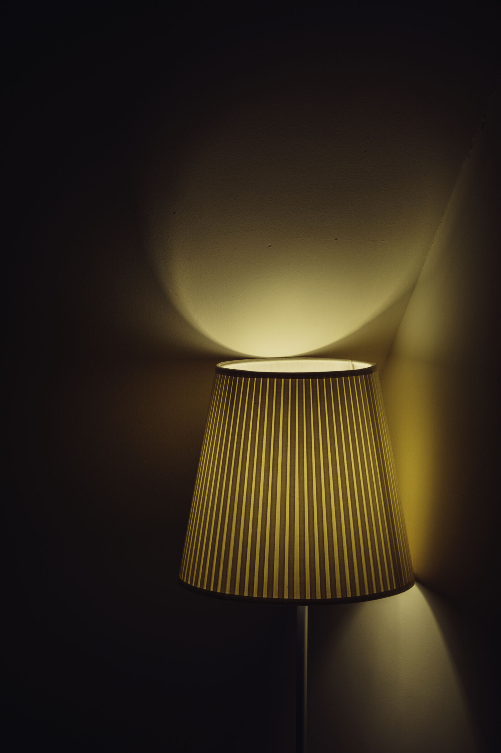 Nikon D3200 sample photo