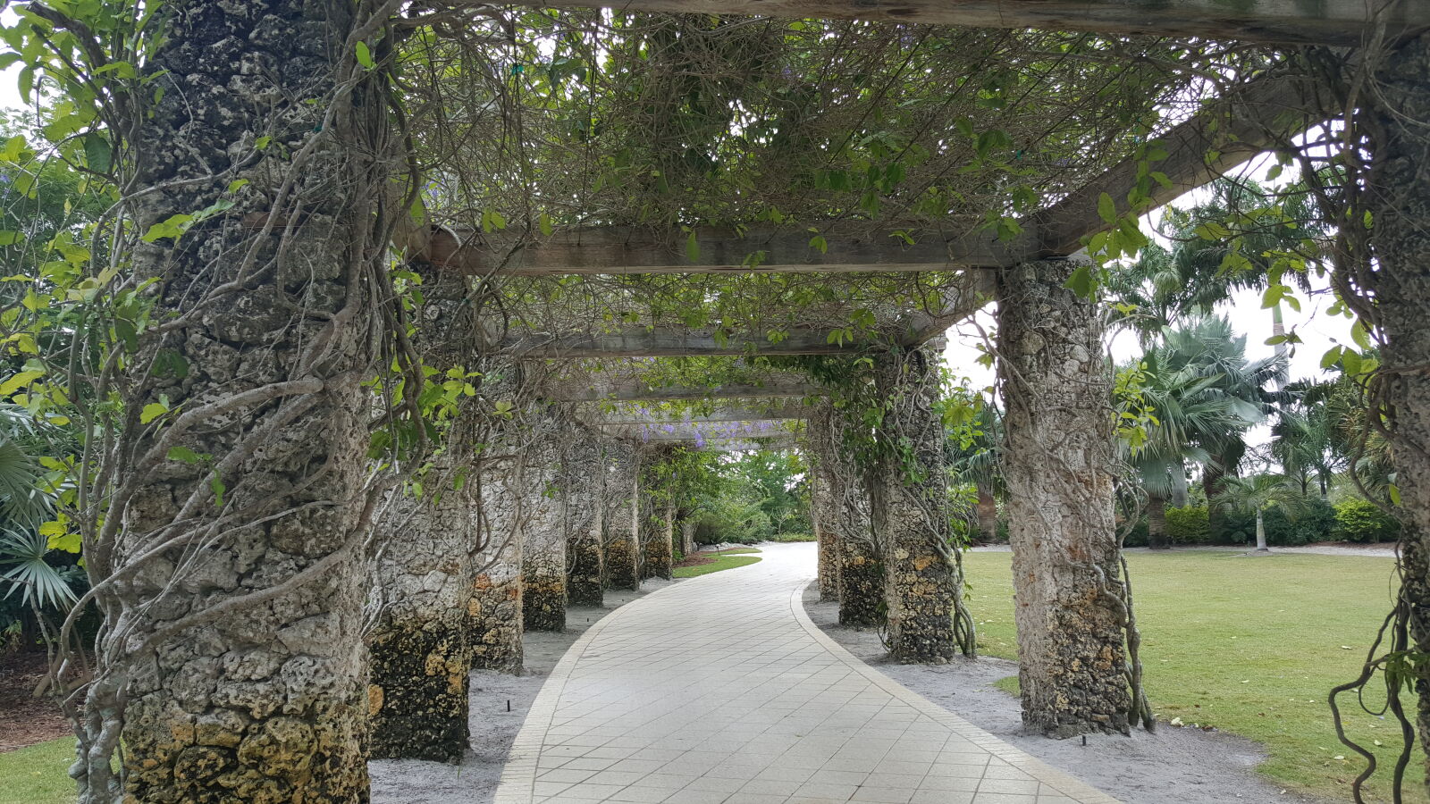 Samsung GALAXY S6 edge sample photo. Botanical, gardens, naples photography