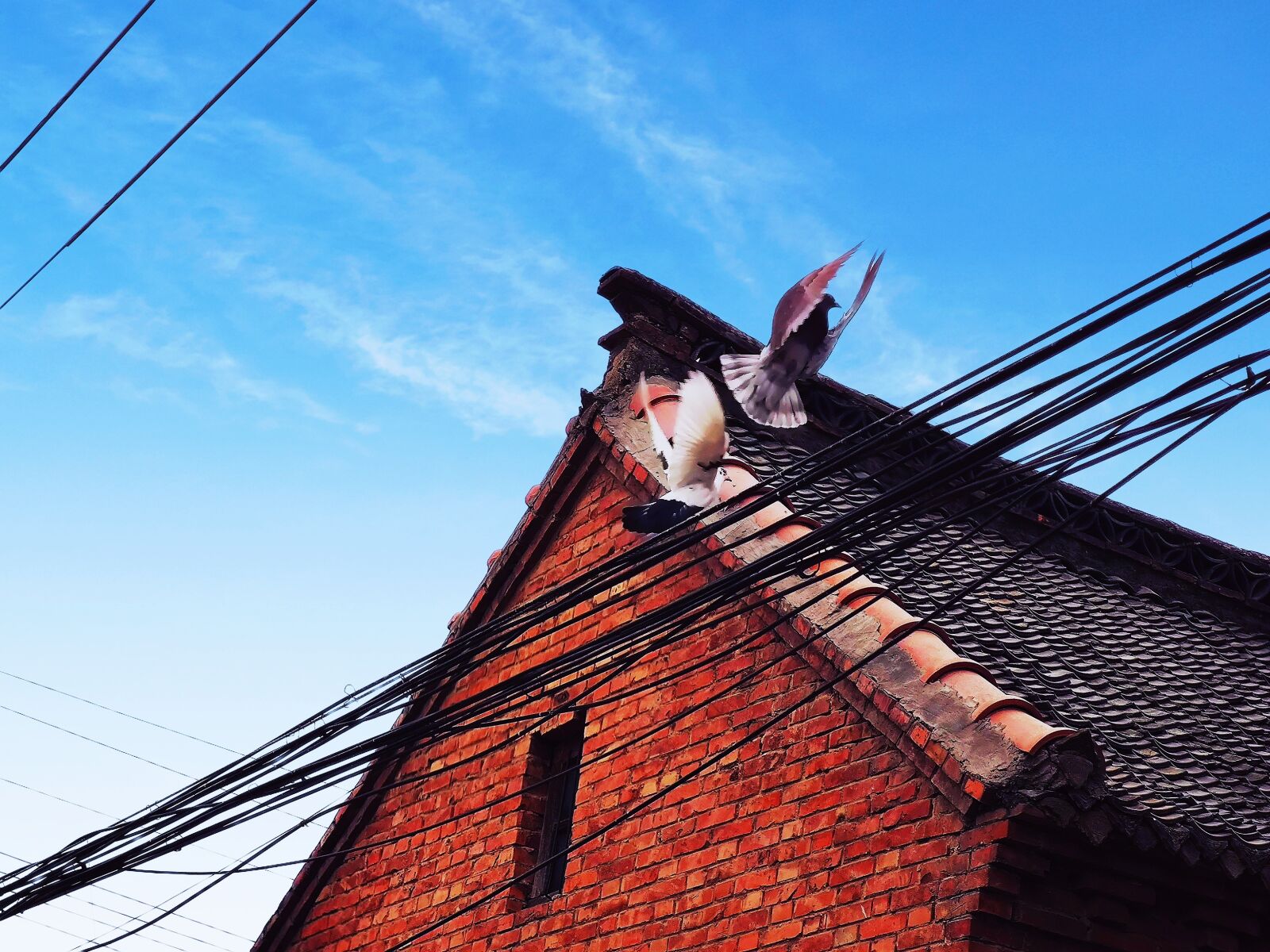 Xiaomi MI CC9 Pro Premium Edition sample photo