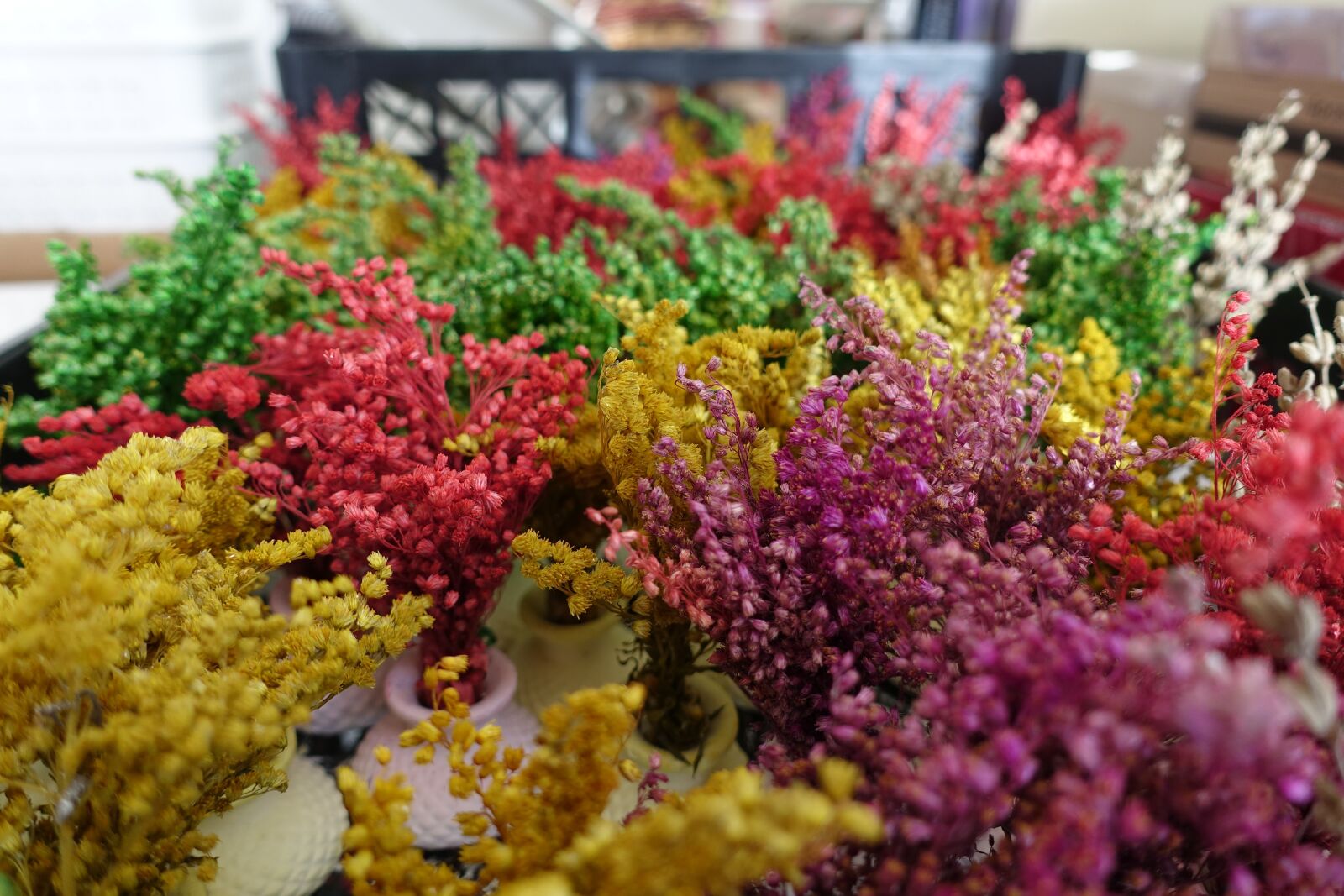 Sony Cyber-shot DSC-RX100 IV sample photo. Color, colors, flower photography