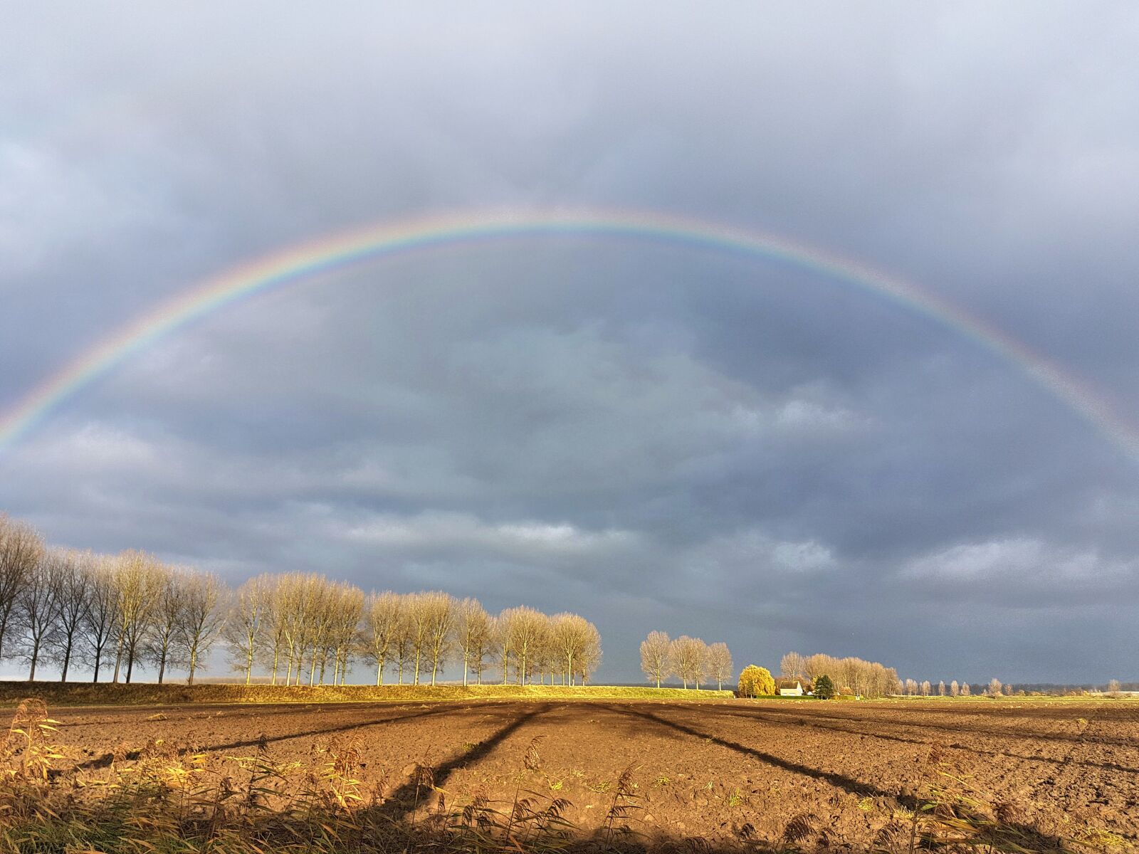 Samsung Galaxy S7 sample photo. Rainbow, countryside, landscape photography