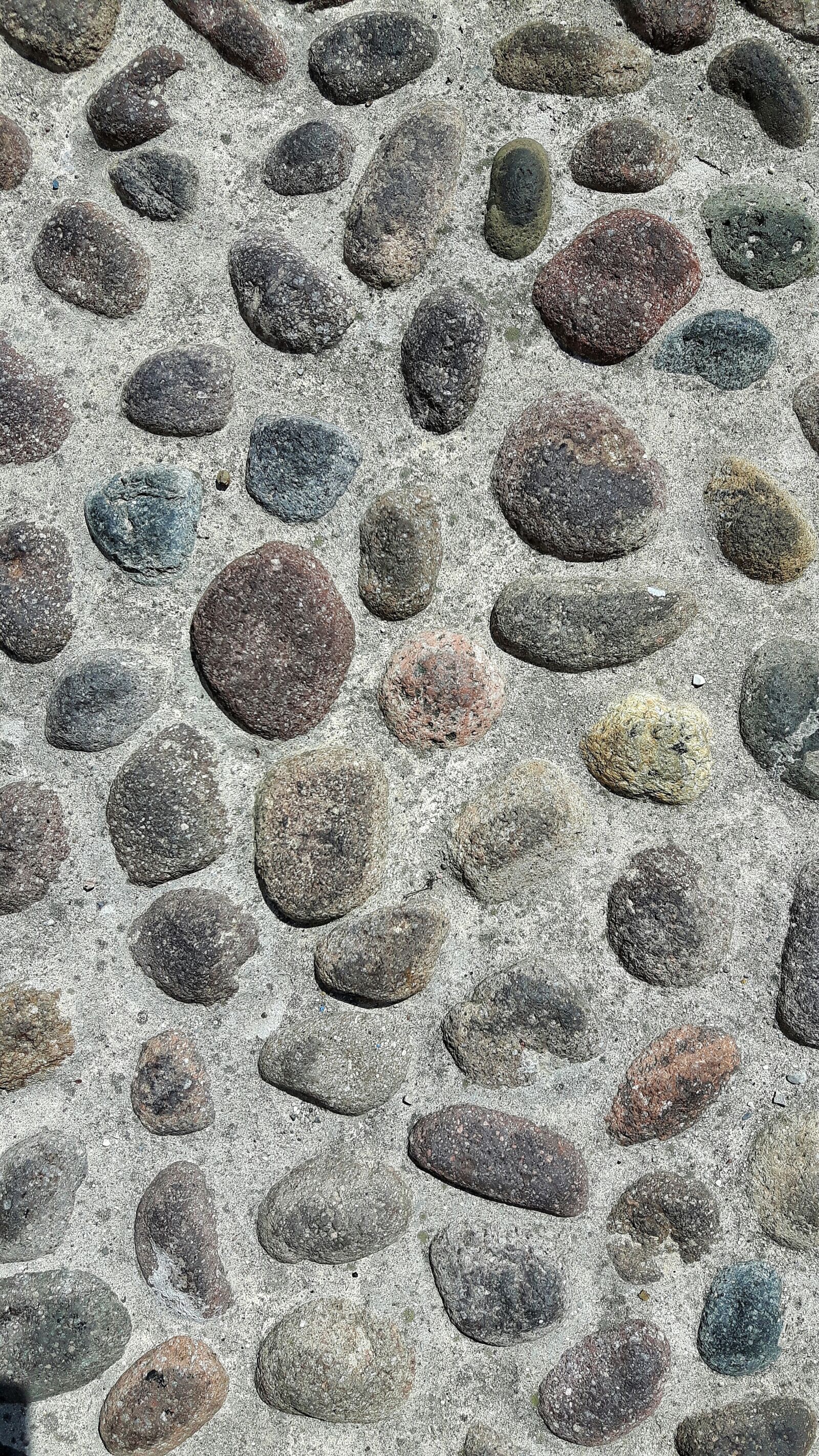 Samsung Galaxy S5 Neo sample photo. Sassi, fossils, rocks photography
