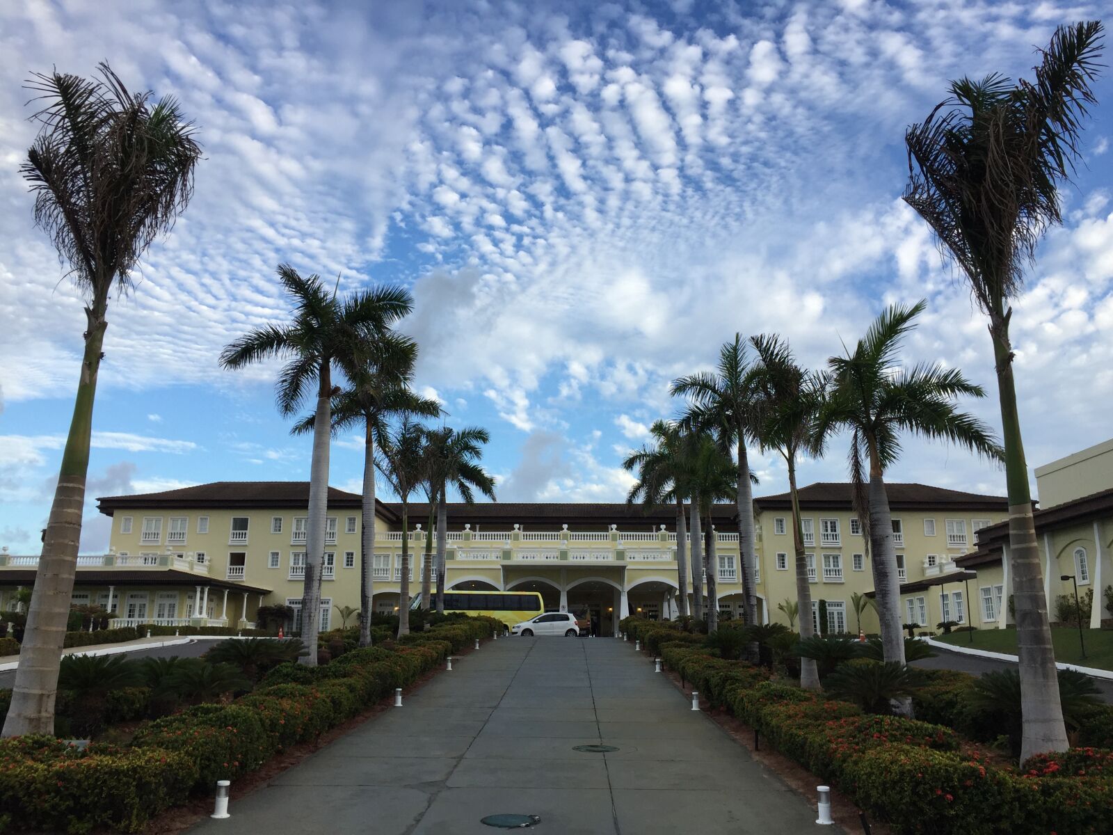 iPhone 6 back camera 4.15mm f/2.2 sample photo. Coconut, trees, hotel photography