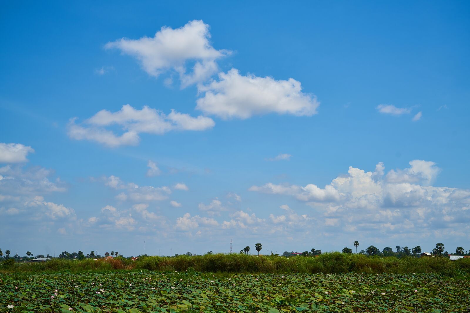 Sony a7R II sample photo. Landscape, rural, village photography
