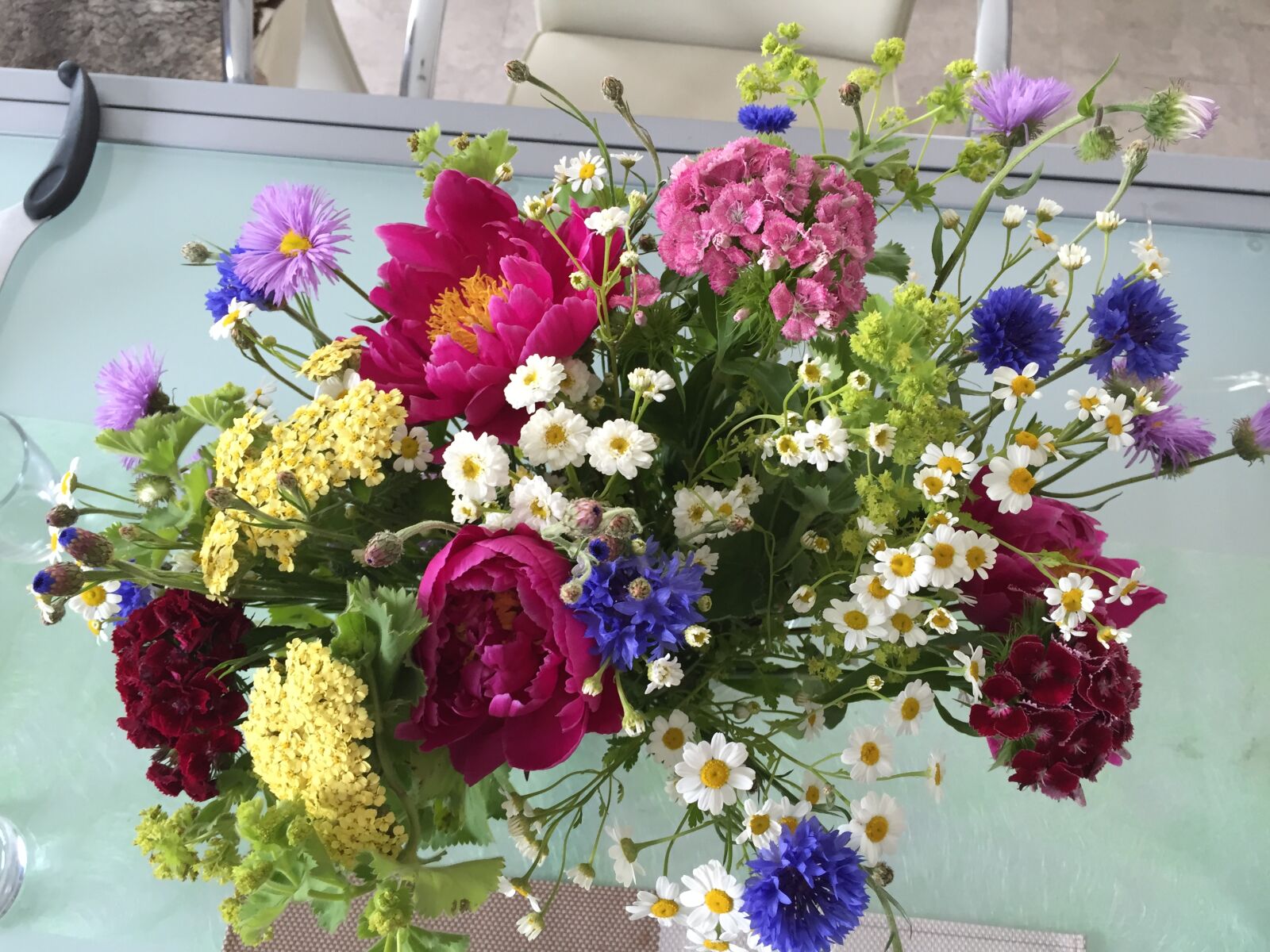 iPhone 6 back camera 4.15mm f/2.2 sample photo
