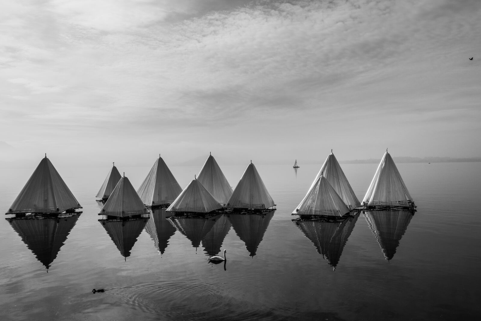 Nikon D800 sample photo. Black and white, cottage photography