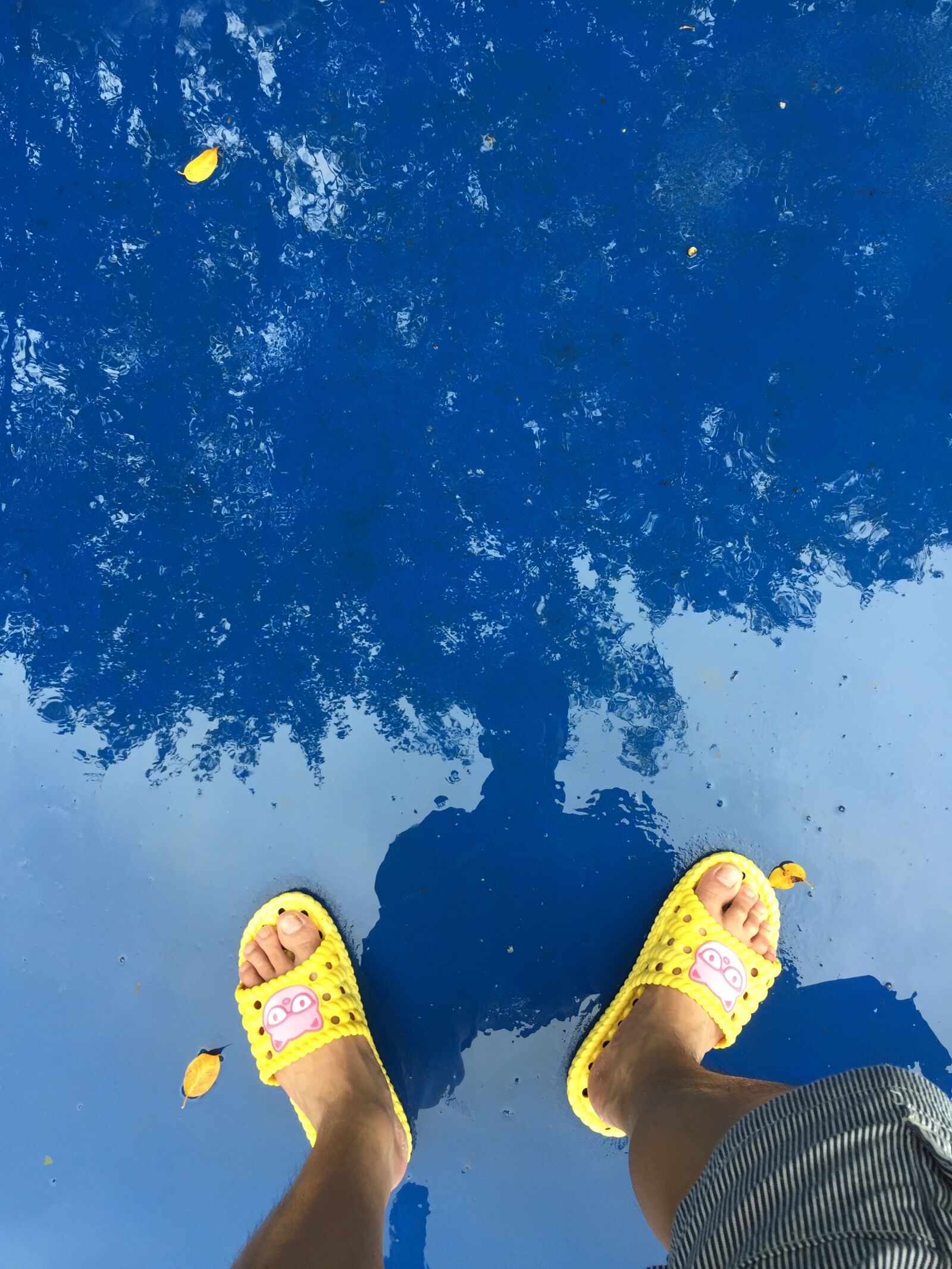 iPhone 6 Plus back camera 4.15mm f/2.2 sample photo. Reflection, rain, yellow photography