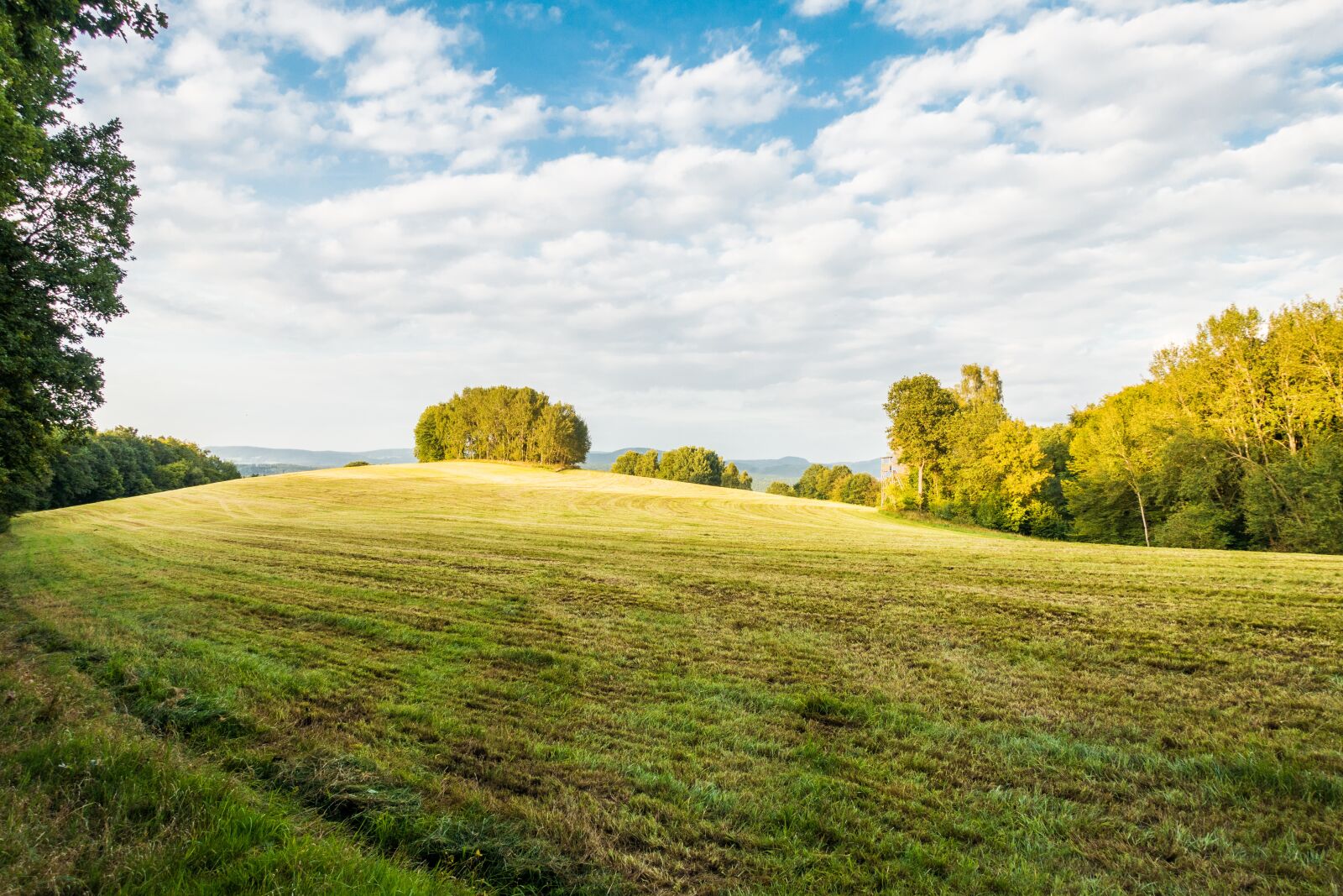 Sony Cyber-shot DSC-RX100 III sample photo. Meadow, summer, cloudy photography