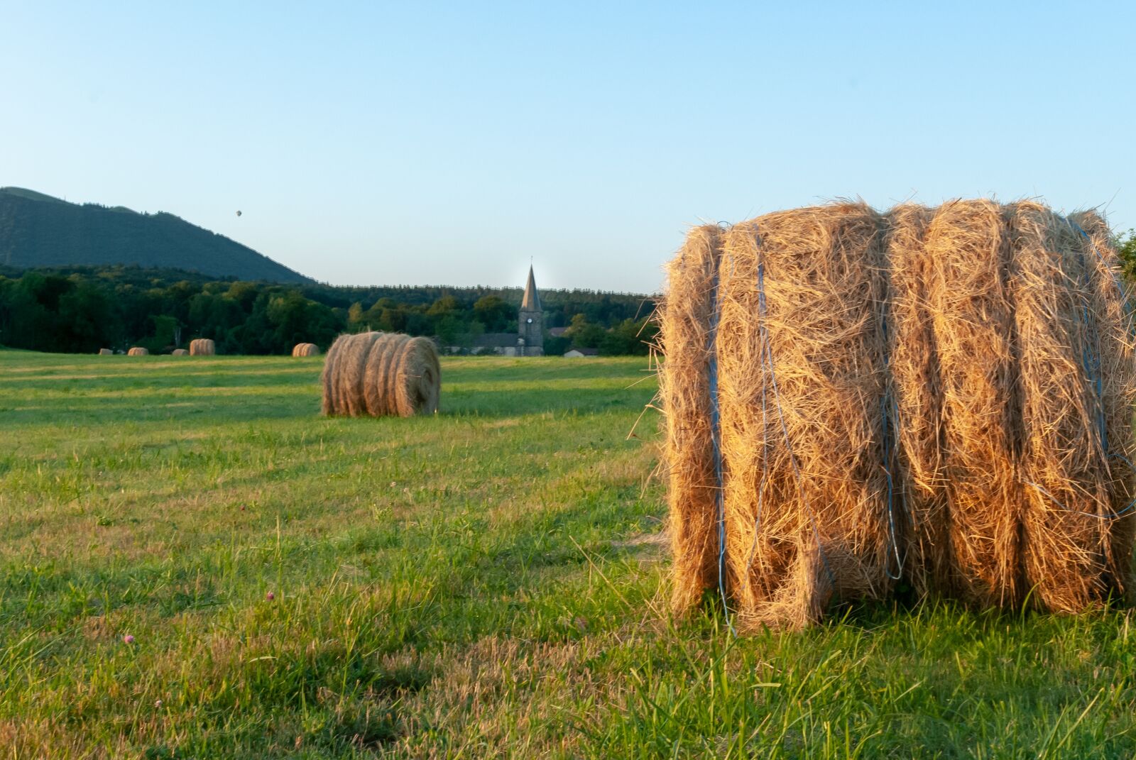 Nikon D80 sample photo. Fields, field, prairie photography