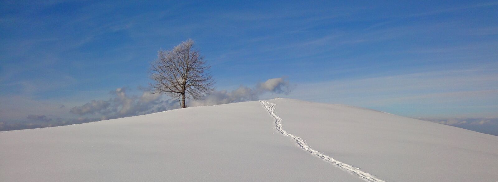 Sony Cyber-shot DSC-WX1 sample photo. Winter, tree, snow photography