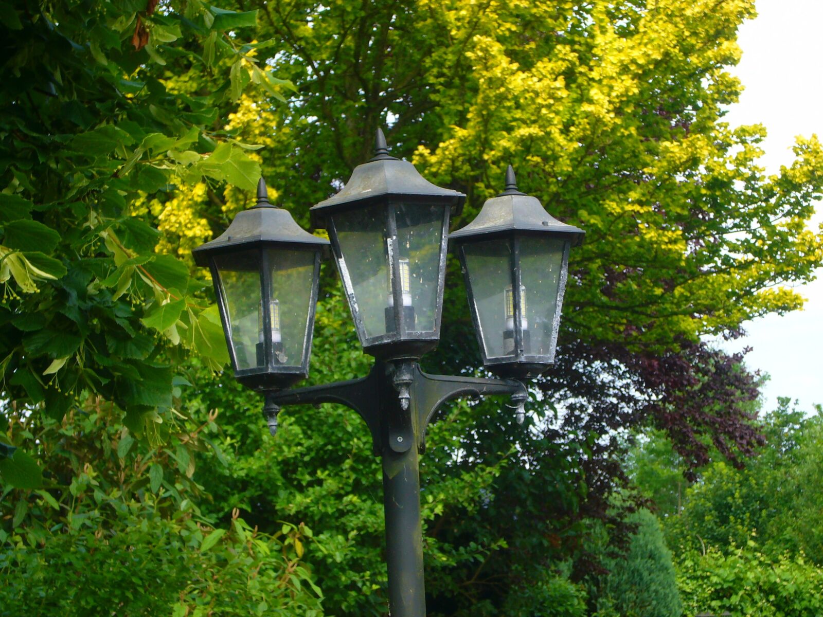 Panasonic DMC-FX01 sample photo. Lantern, street lamp, summer photography