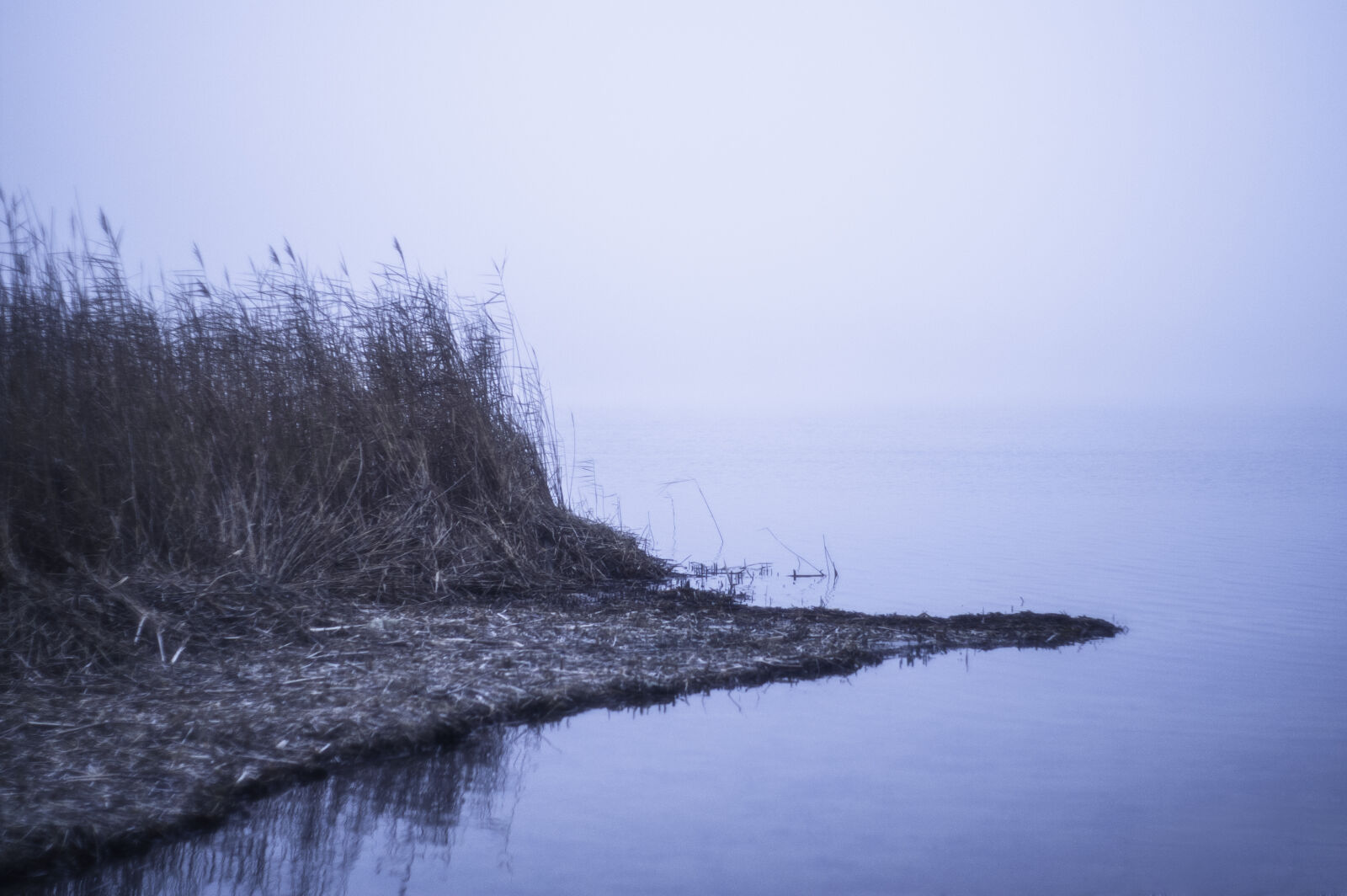 KONICA MINOLTA DYNAX 7D sample photo. Fog, lake, water photography
