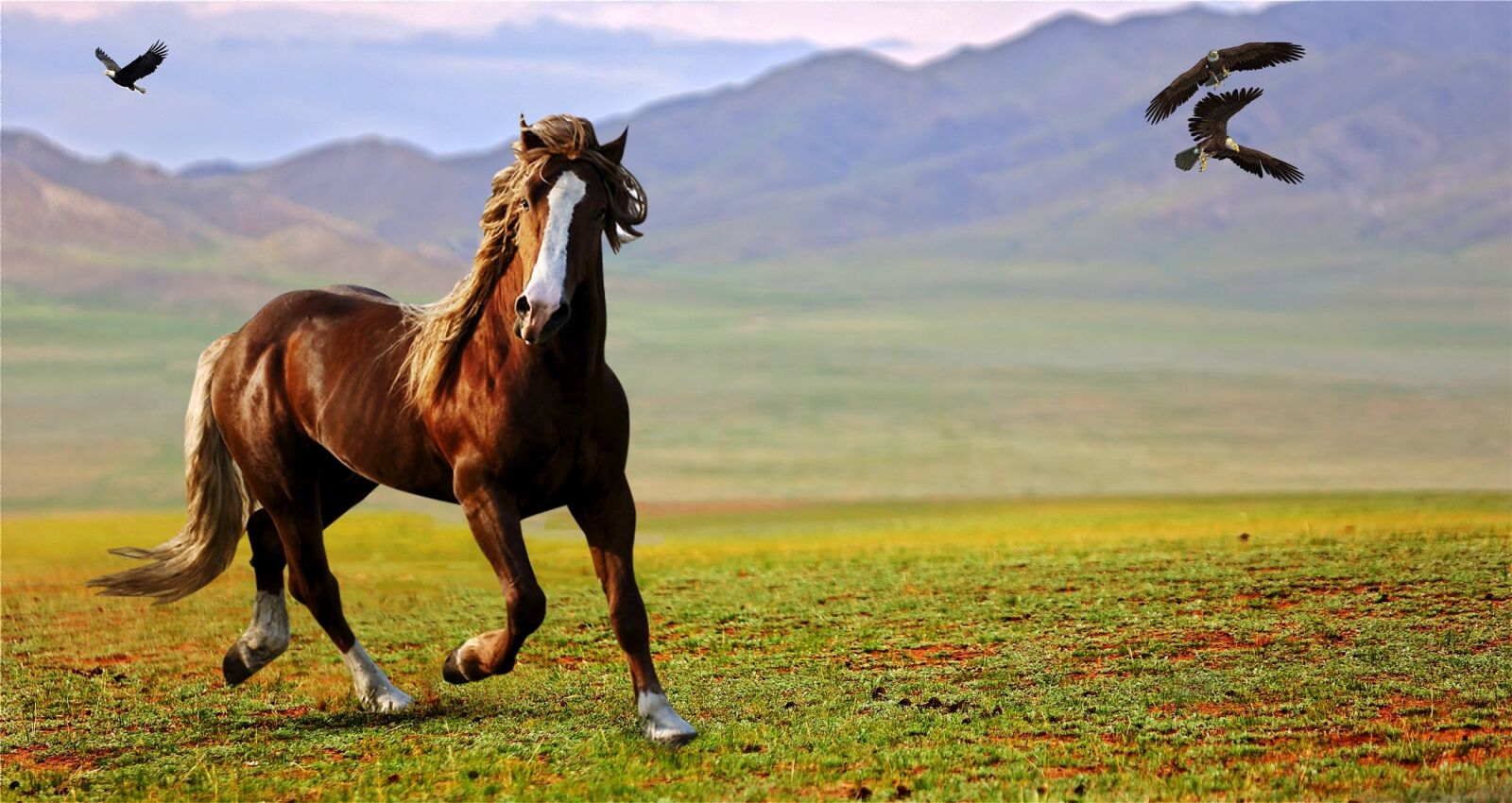 Canon EOS 5D Mark III sample photo. Aguias, cavalo, montanhas, natureza photography