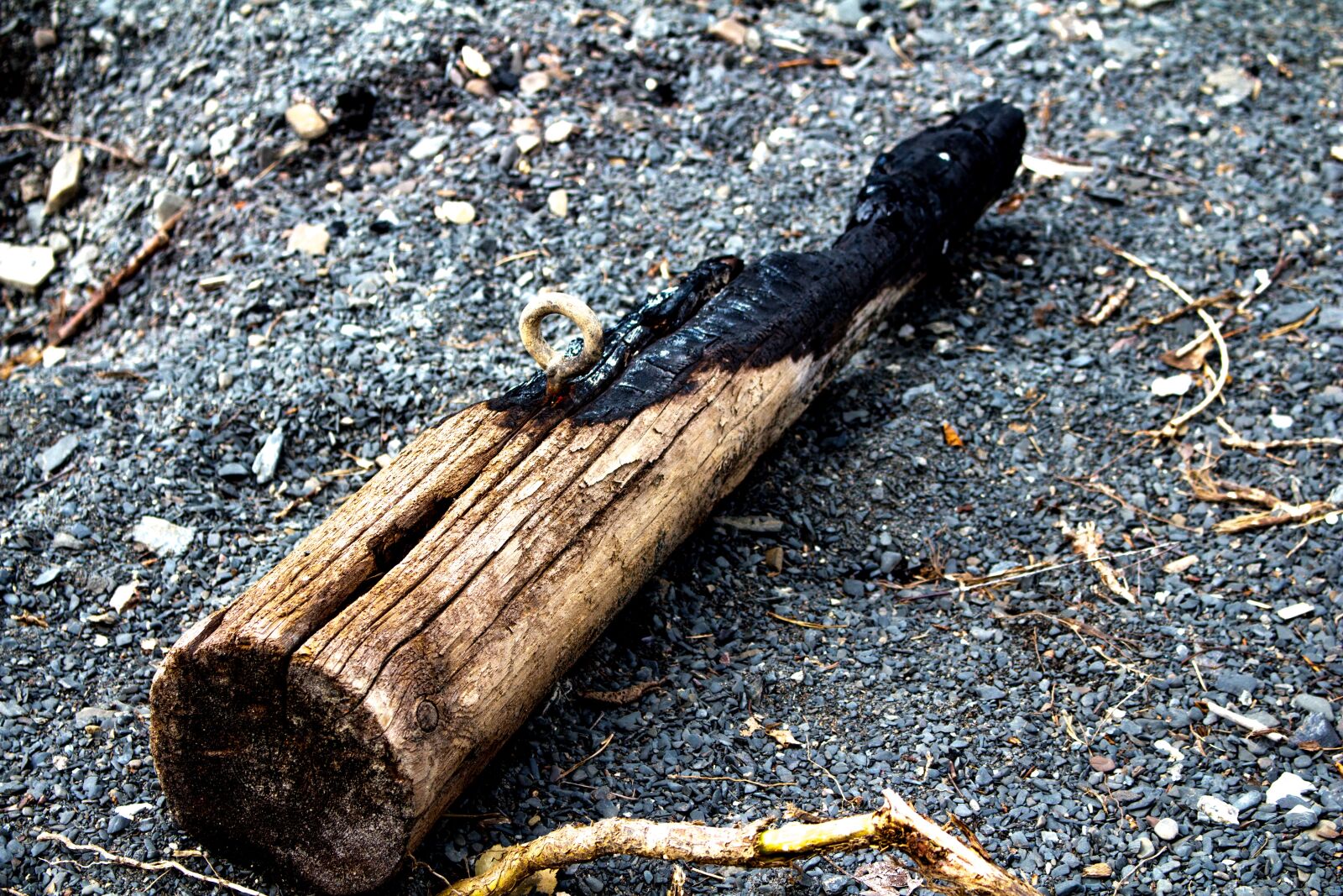Canon EOS 700D (EOS Rebel T5i / EOS Kiss X7i) sample photo. Wood, driftwood, burnt photography