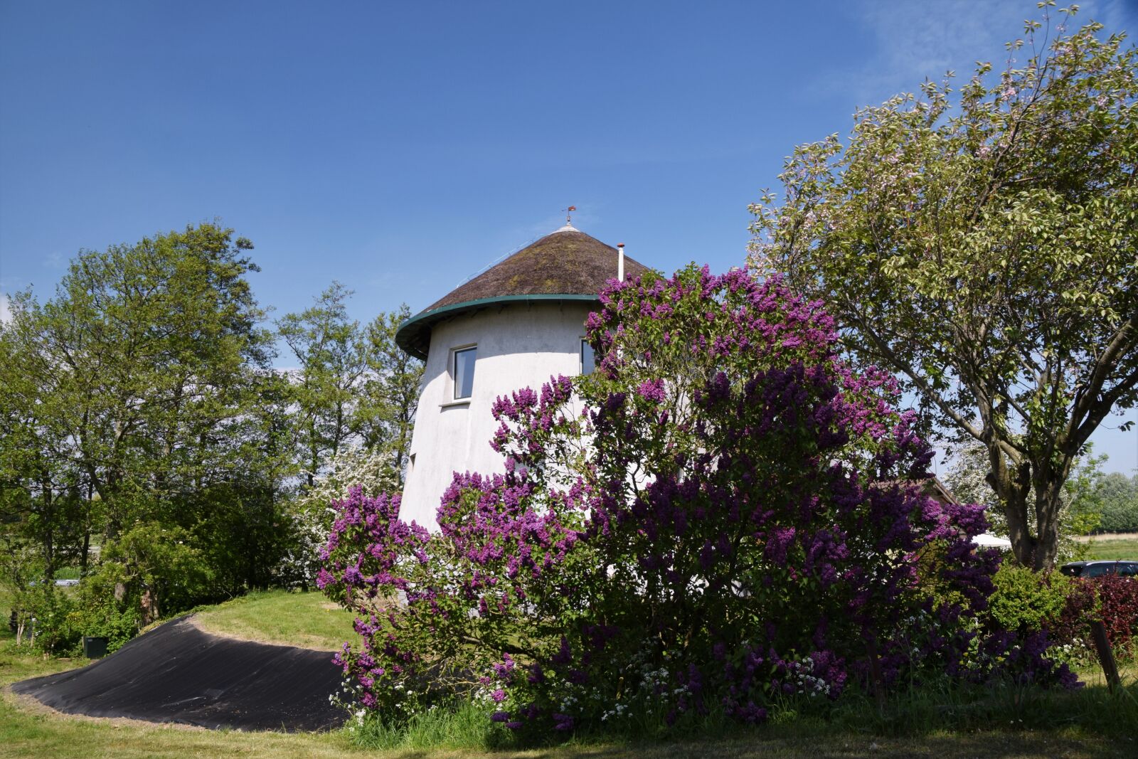 Nikon D3300 sample photo. Zwartewaal, molenwoning, garden photography