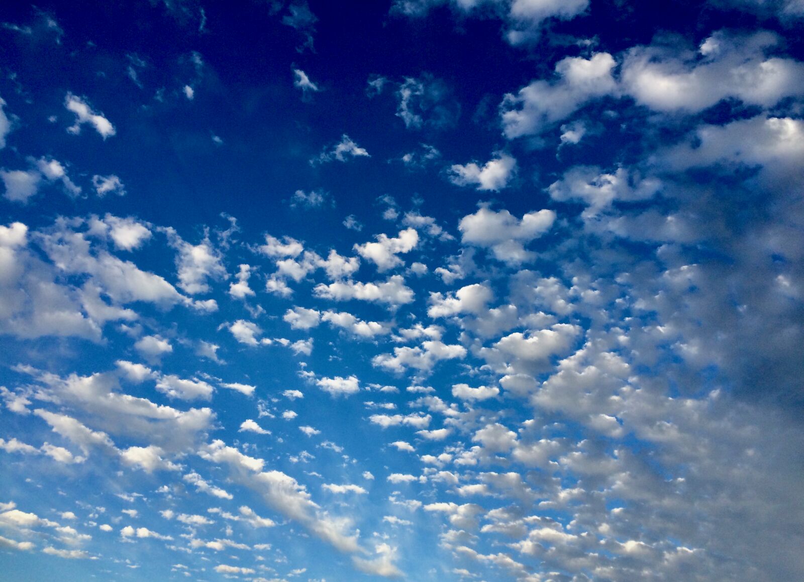 iPhone 5s back camera 4.15mm f/2.2 sample photo. Blue, sky, clouds photography