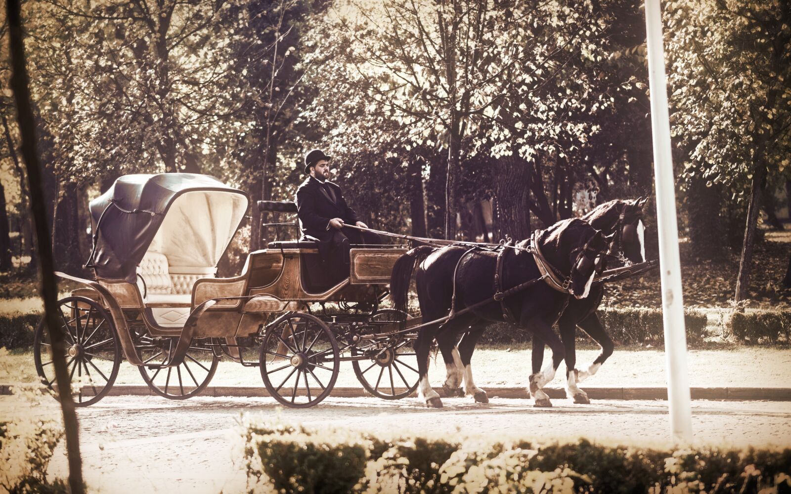 Nikon D5300 sample photo. Coach, horses, epoch photography