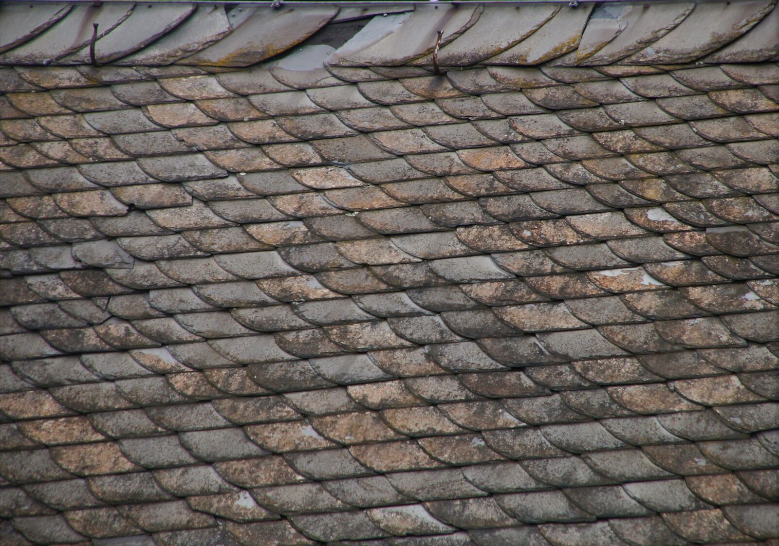 Sony SLT-A57 sample photo. Roof, roof renovation, old photography