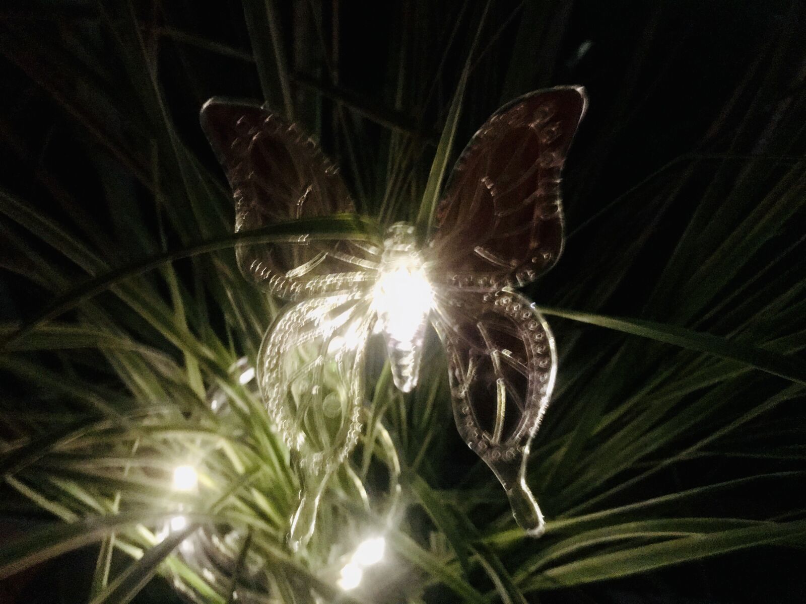 iPhone 7 back camera 3.99mm f/1.8 sample photo. Butterfly, glass, decoration photography