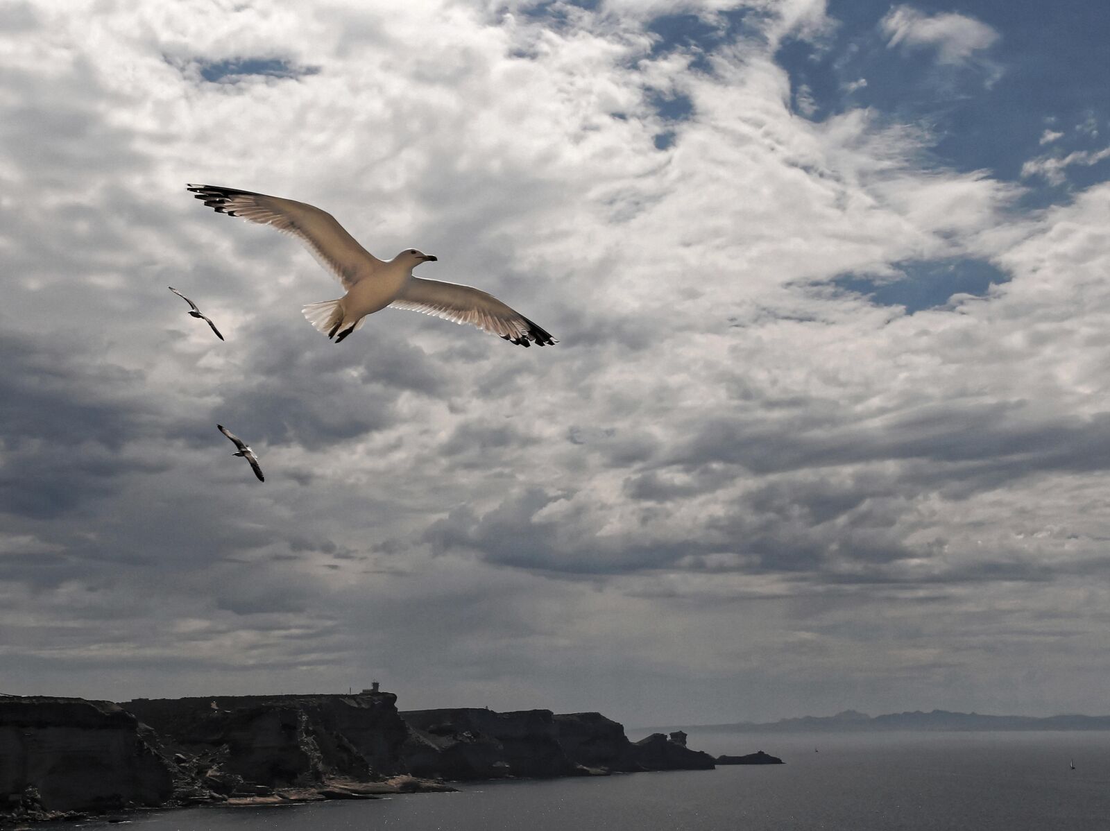 Canon EOS 6D sample photo. Flying seagull, mouth of photography