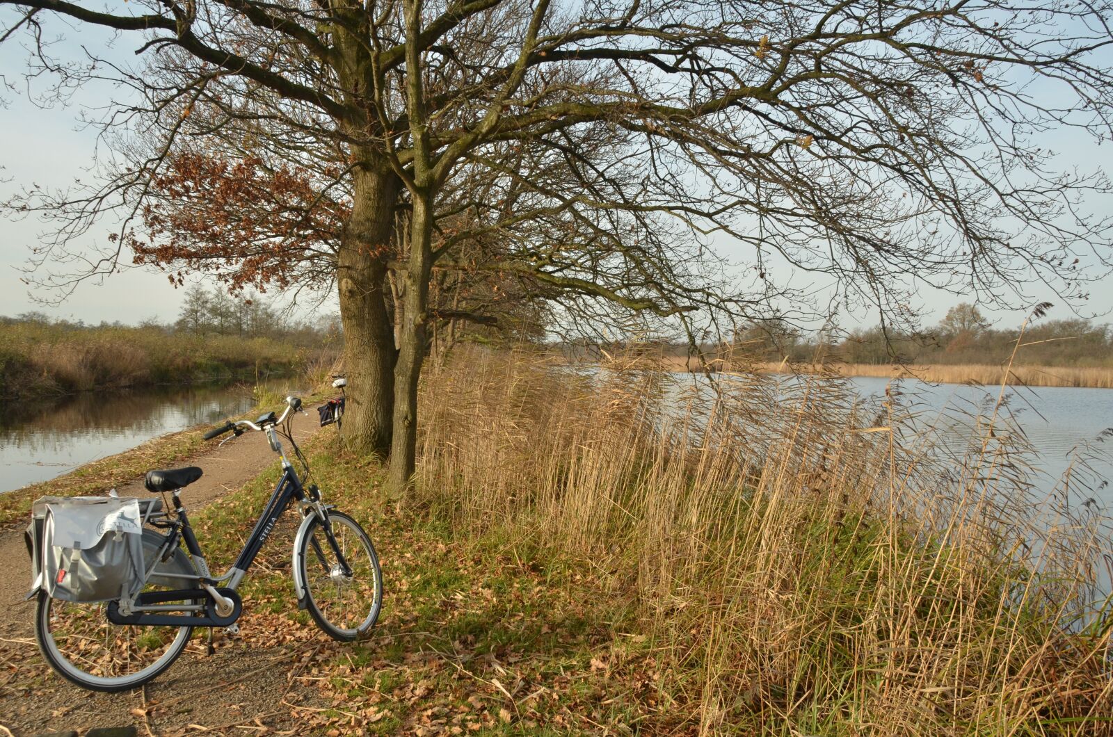 Nikon D7000 sample photo. Landscape, autumn, water photography