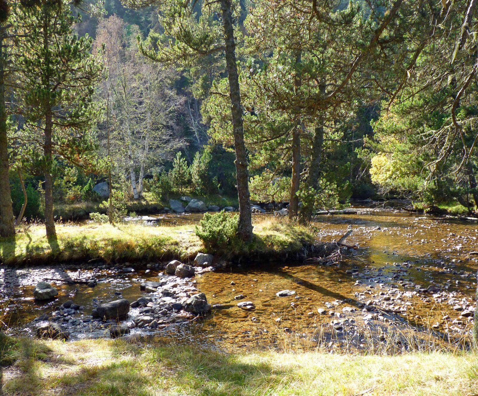 Panasonic Lumix DMC-FZ35 (Lumix DMC-FZ38) sample photo. River, mountain, nature photography
