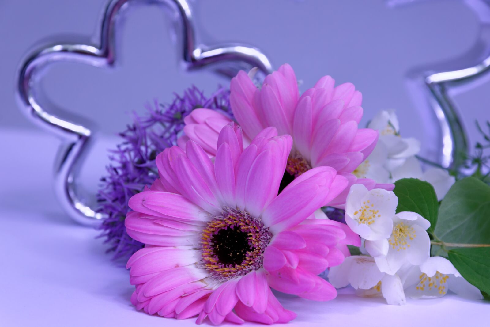 Nikon D5300 sample photo. Flower, blossom, bloom photography