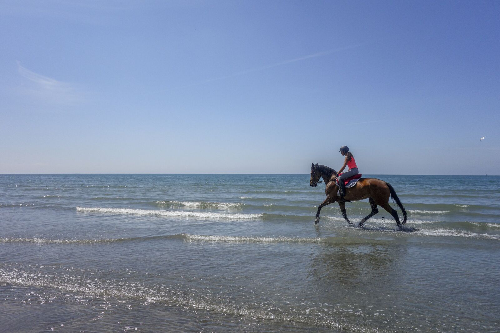 Sony Cyber-shot DSC-RX100 sample photo. Horse, beach, sea photography
