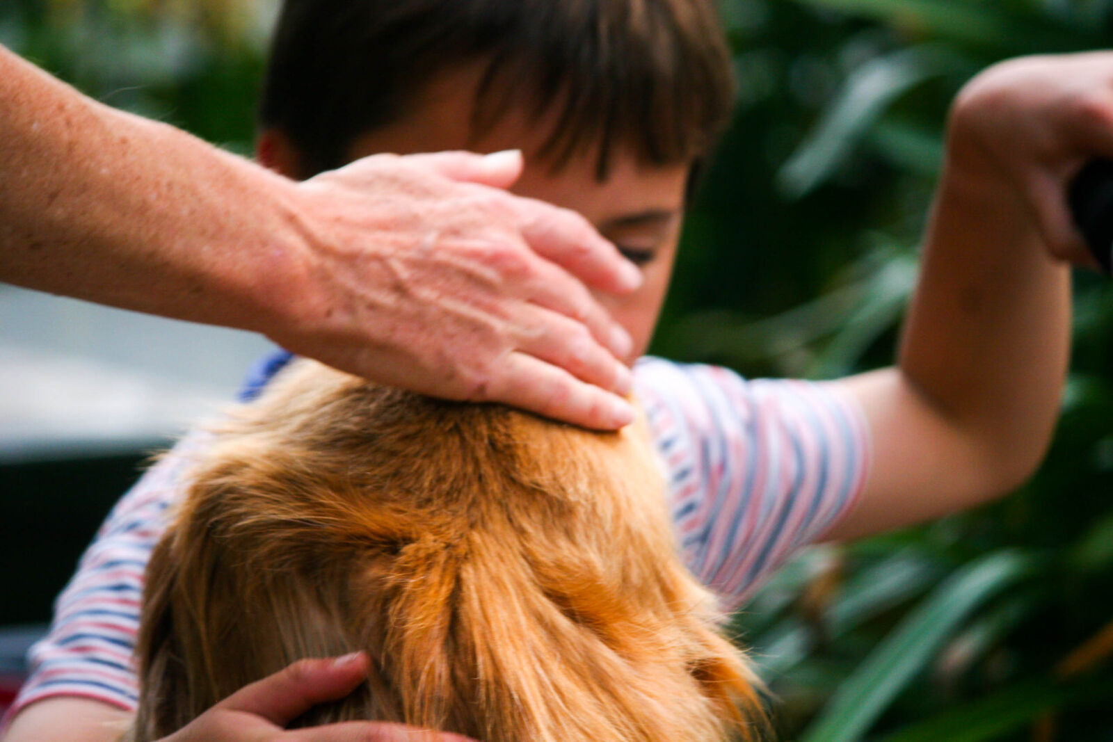 Canon EOS 20D sample photo. Boy, boy, and, dog photography
