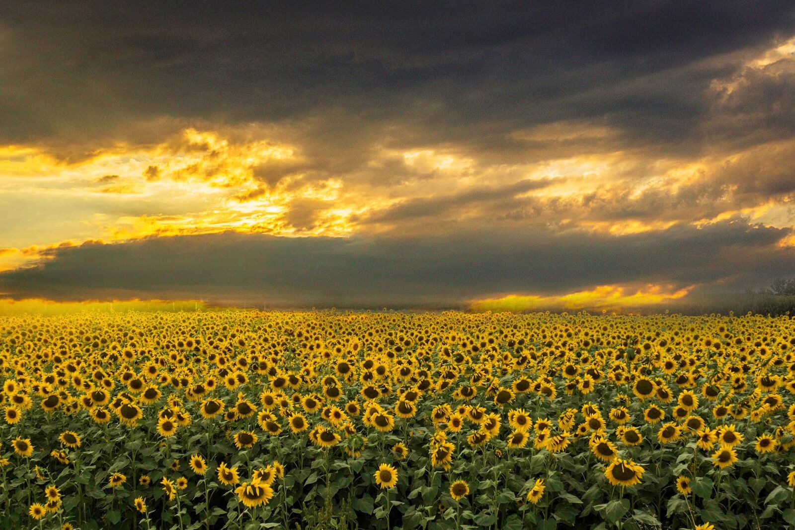 Olympus OM-D E-M5 II sample photo. Twilight of almatret, sunset photography