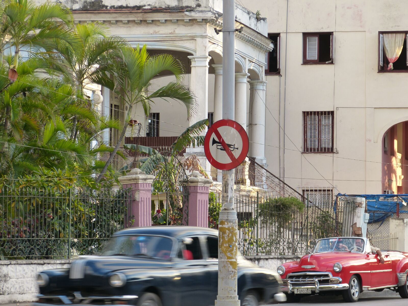 Panasonic Lumix DMC-FZ150 sample photo. Horn, cuba, palm photography