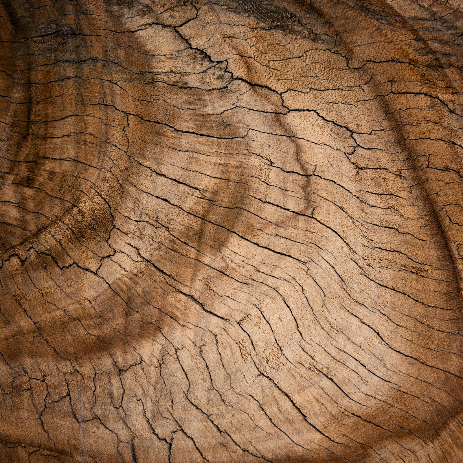 Nikon D700 sample photo. Abstract, antique, backdrop photography