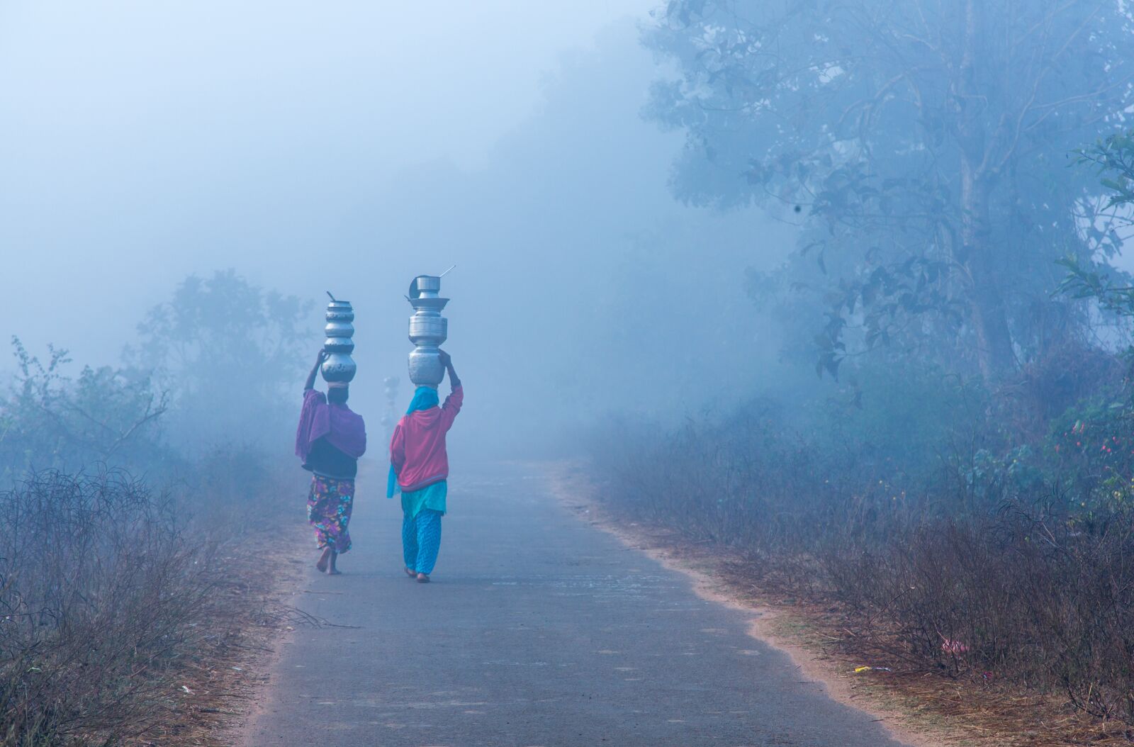 Canon EF 24-105mm F4L IS USM sample photo. India, andhra pradesh, srikakulam photography