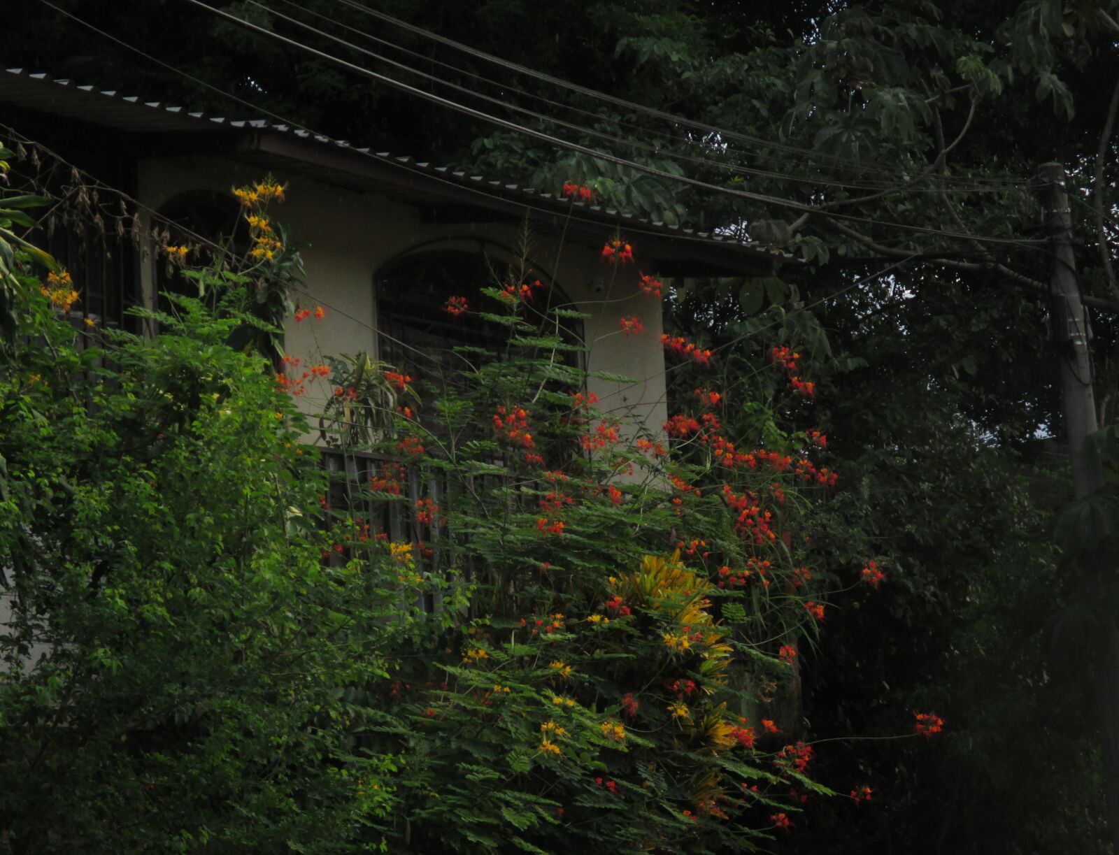 Canon PowerShot ELPH 130 IS (IXUS 140 / IXY 110F) sample photo