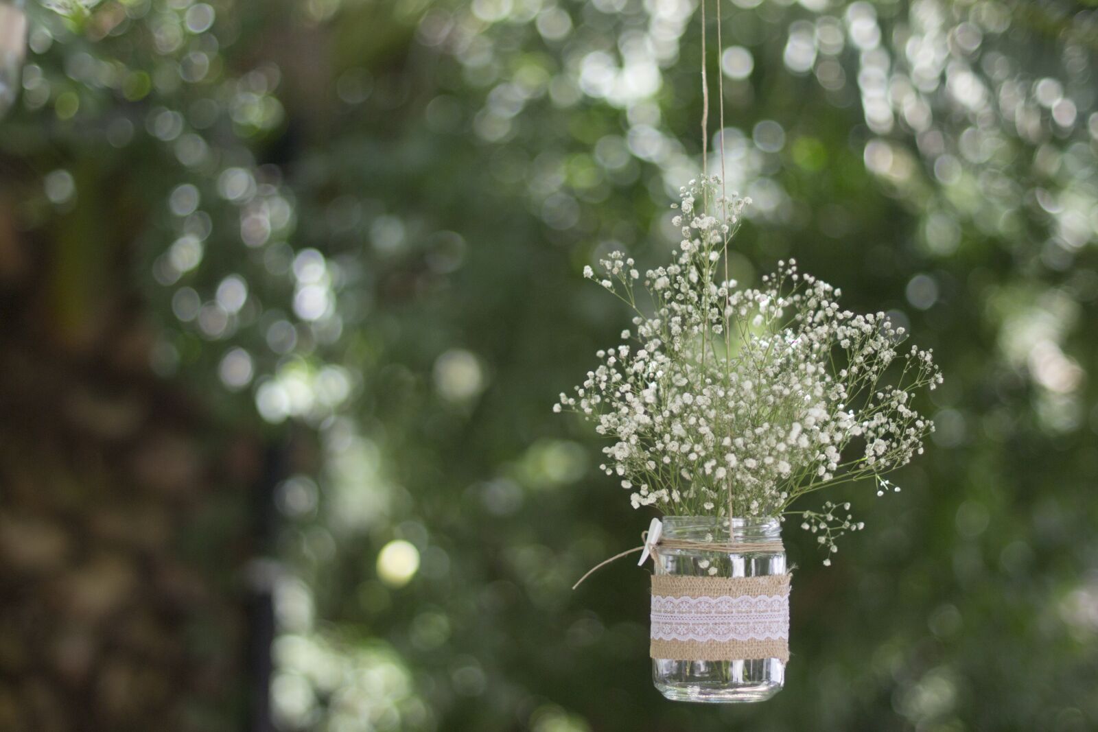 Nikon D3100 sample photo. Wedding, celebration, decoration photography