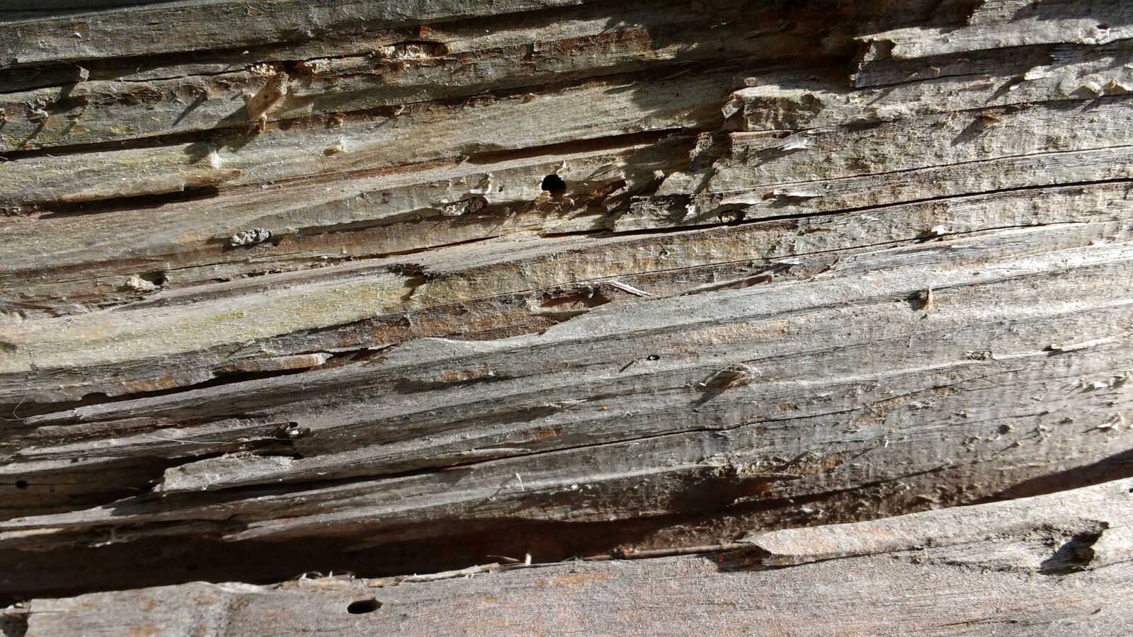 Motorola MotoG3 sample photo. Old wood, fibers, grain photography